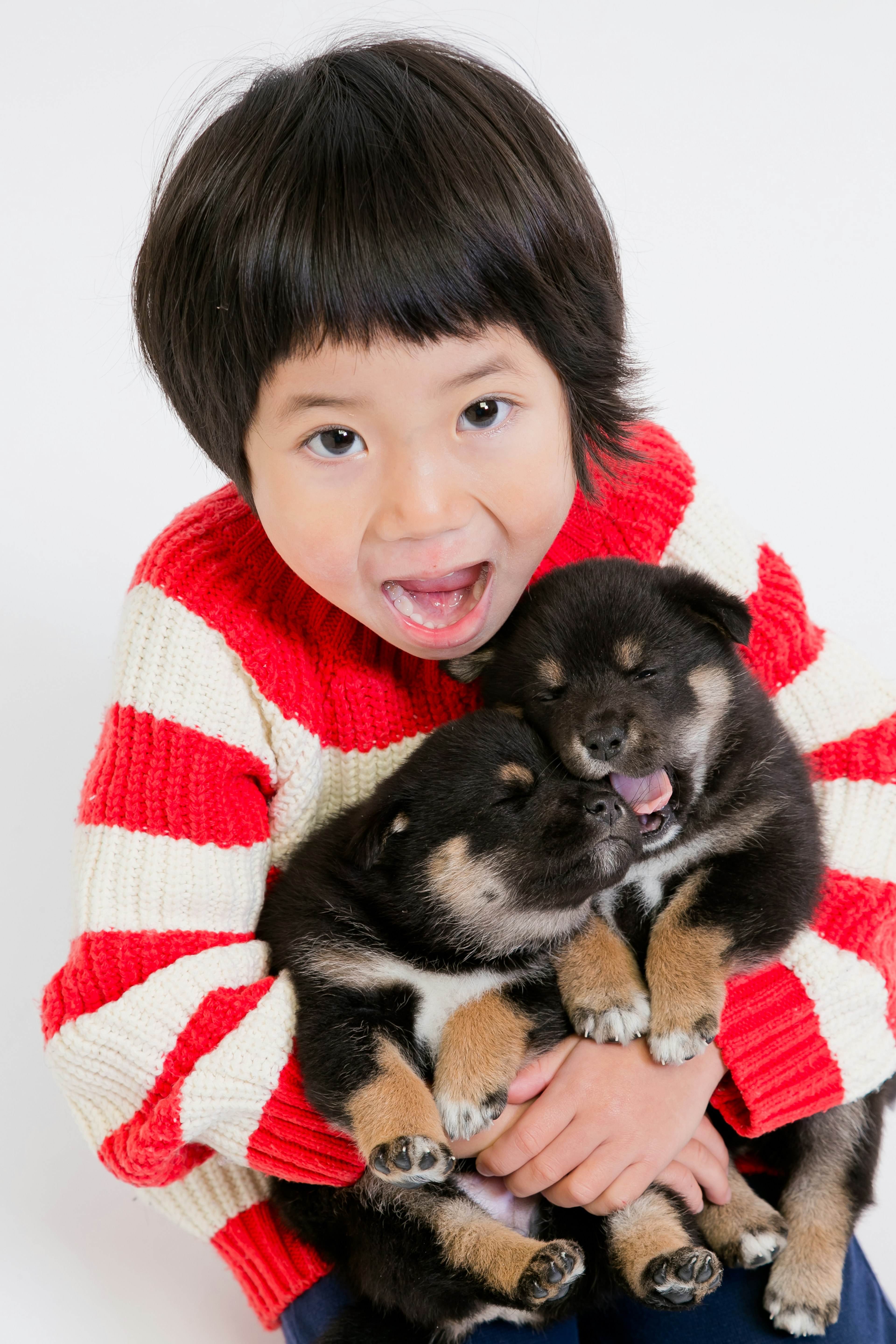 Anak dengan sweater merah memegang dua anak anjing