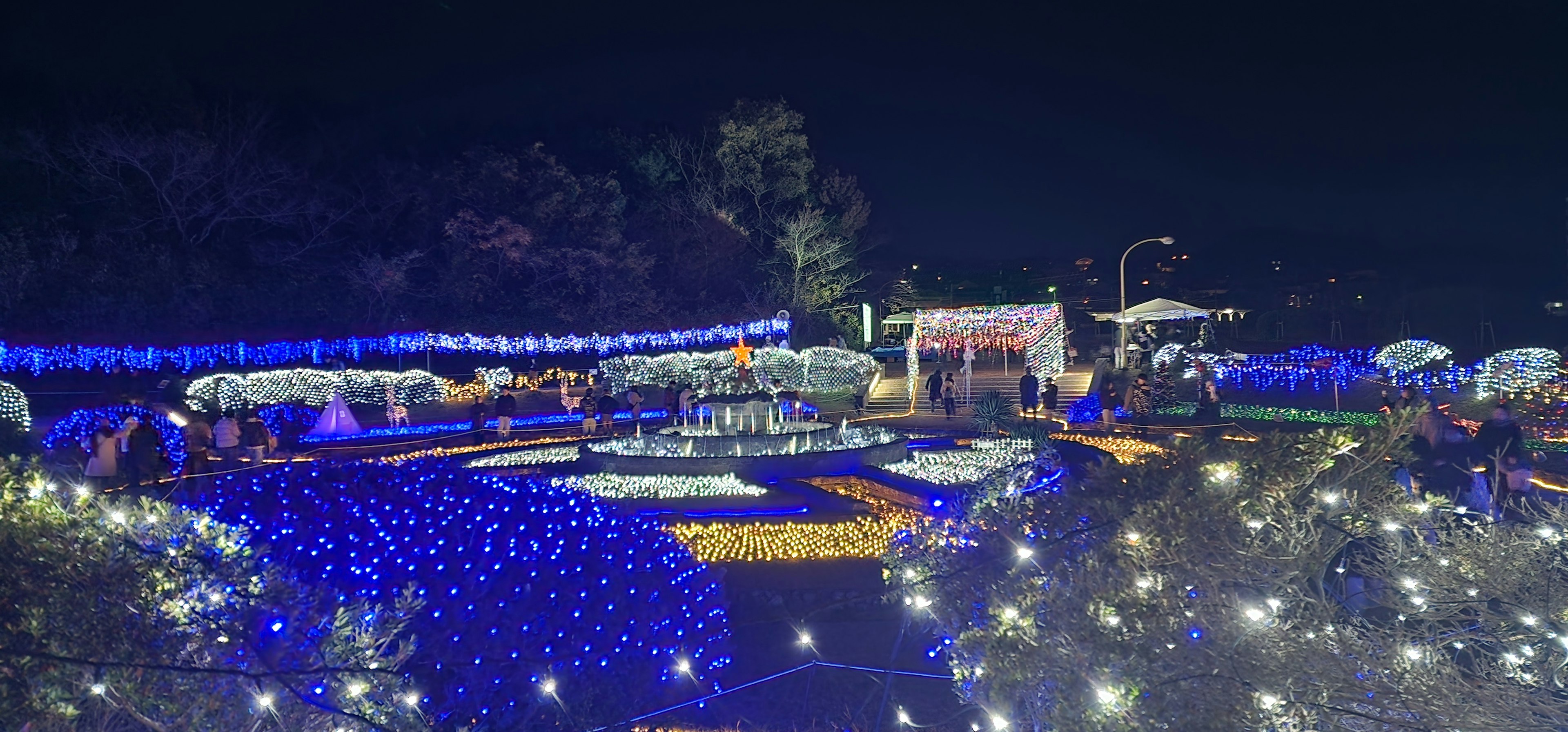 A park illuminated with blue lights at night