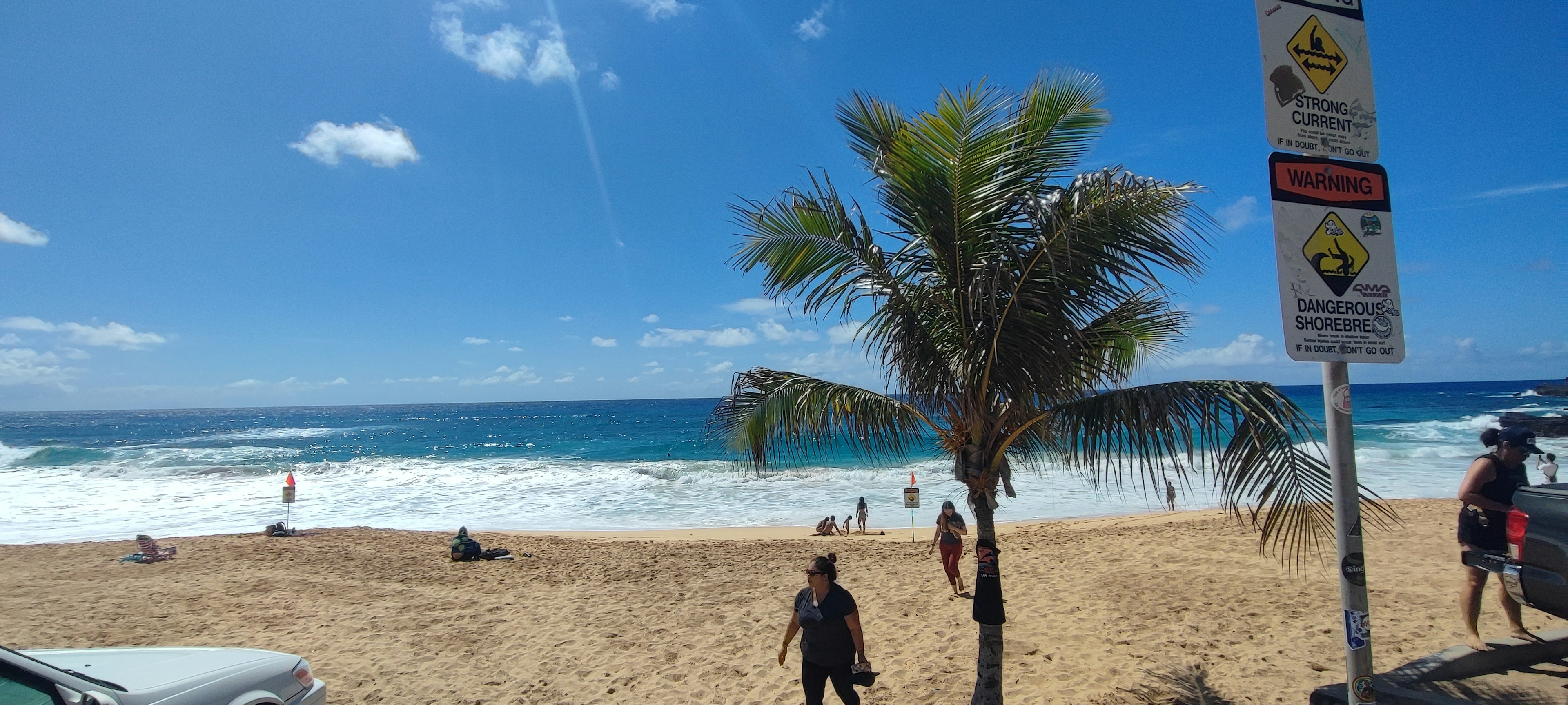 Pemandangan pantai dengan pohon kelapa dan lautan biru