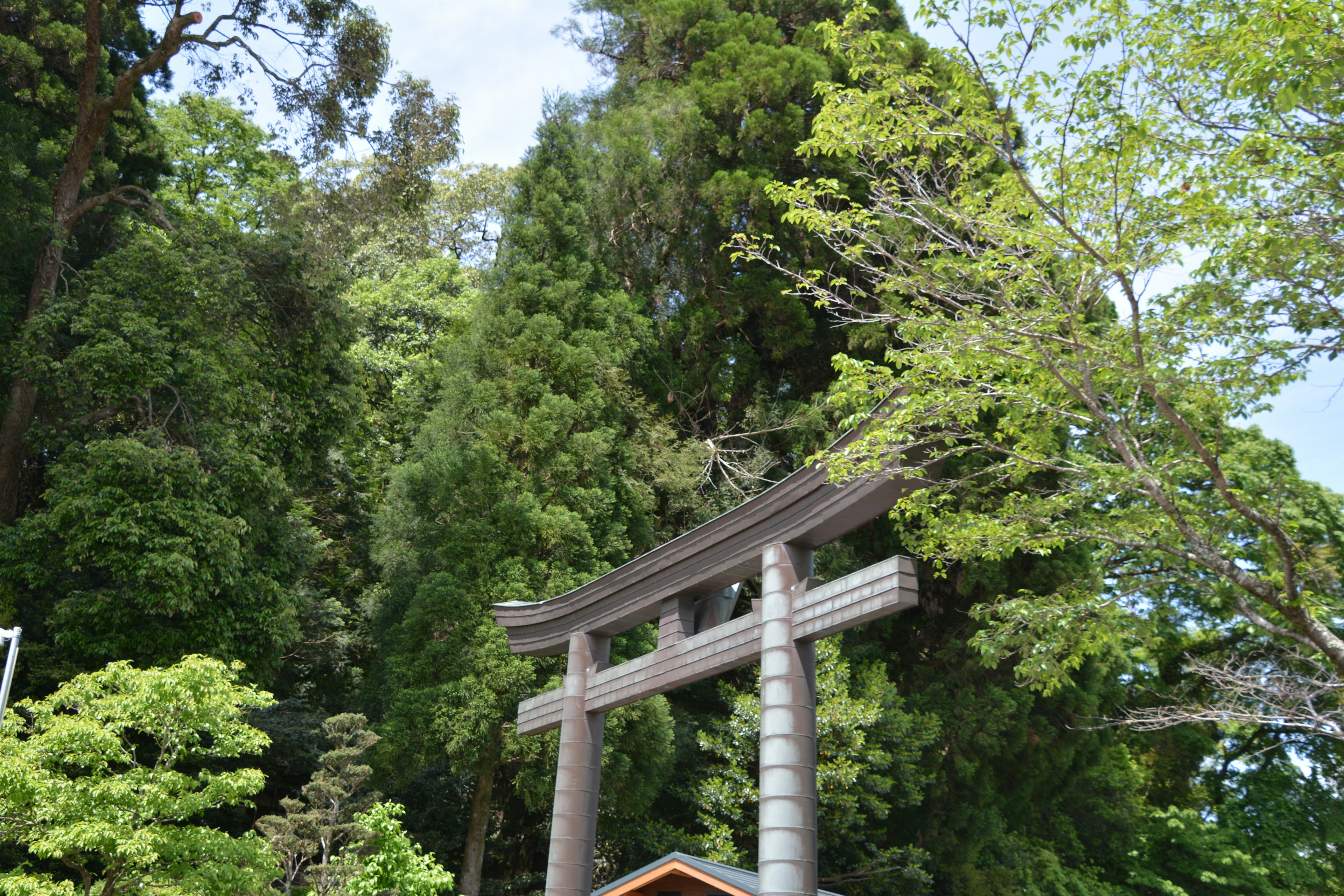 Vista panoramica di un torii circondato da vegetazione lussureggiante