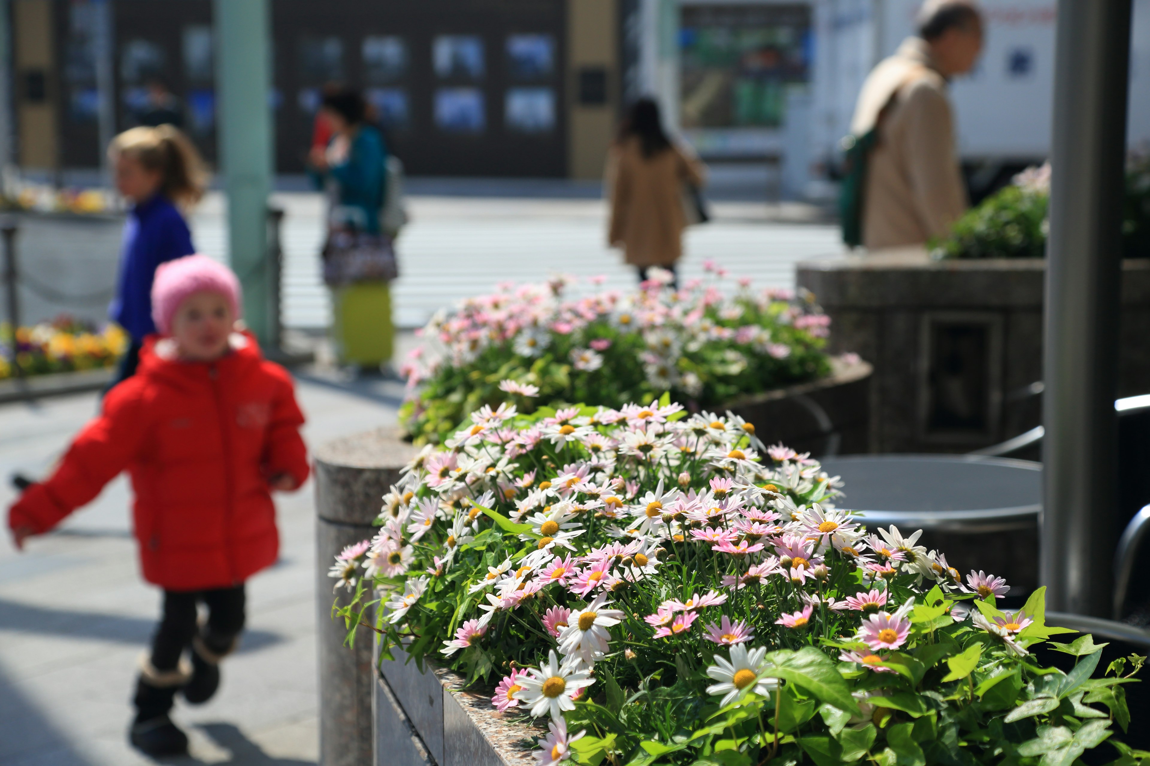 公園で遊ぶ子供たちと花壇の花々