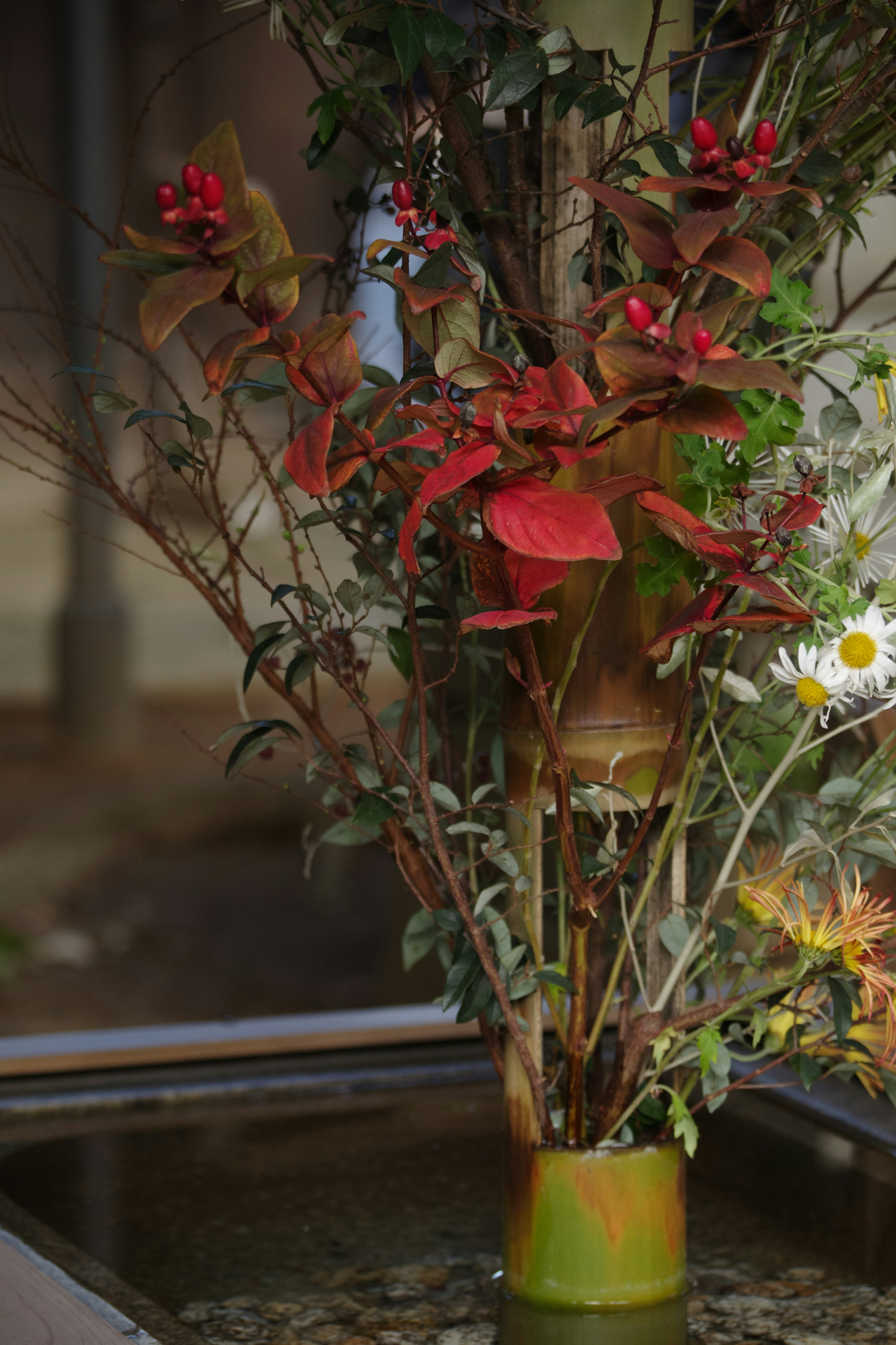 Schöne Anordnung von roten Blättern und weißen Blumen in einer Bambusvase