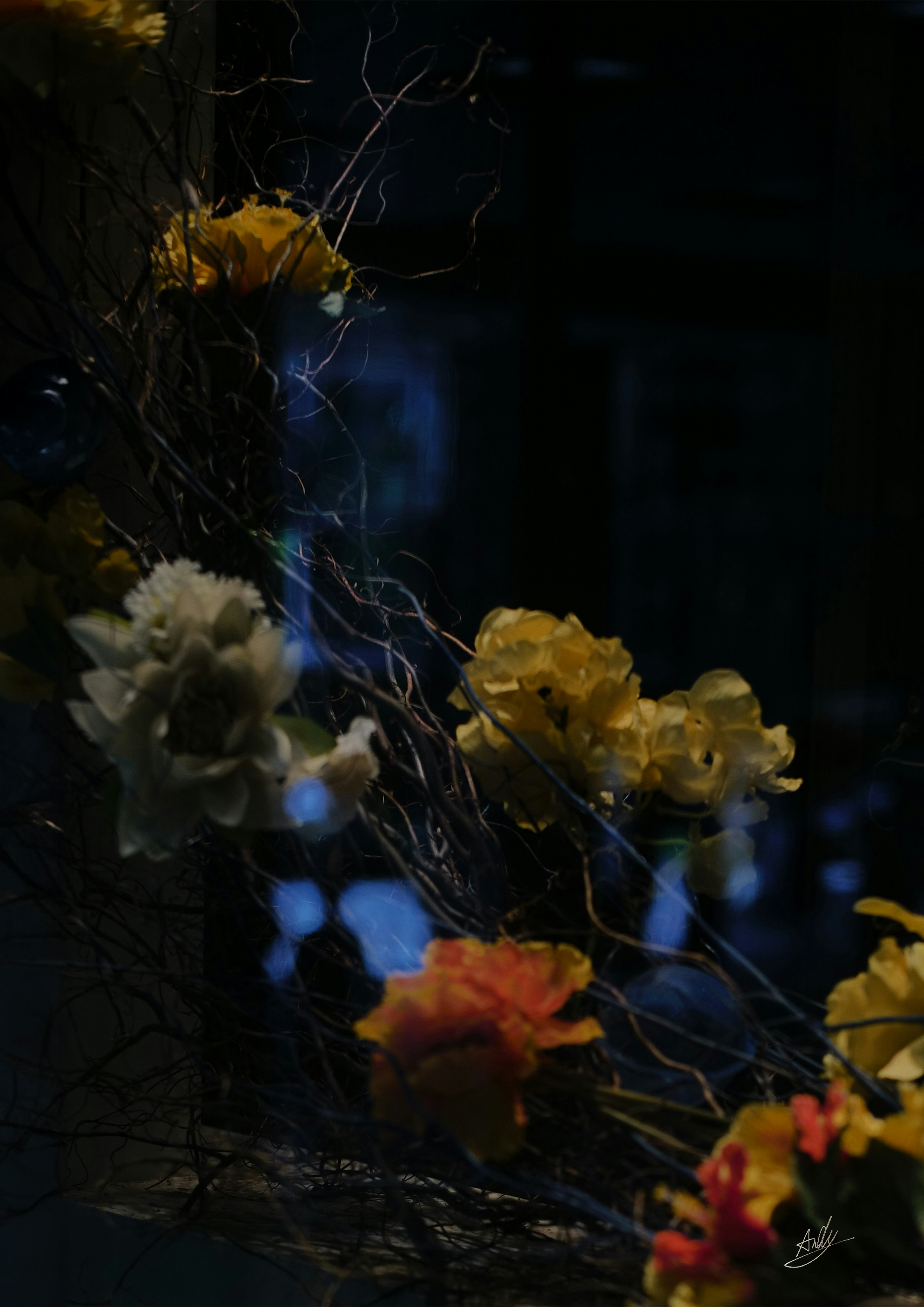 Arrangement floral coloré avec des branches sur fond sombre