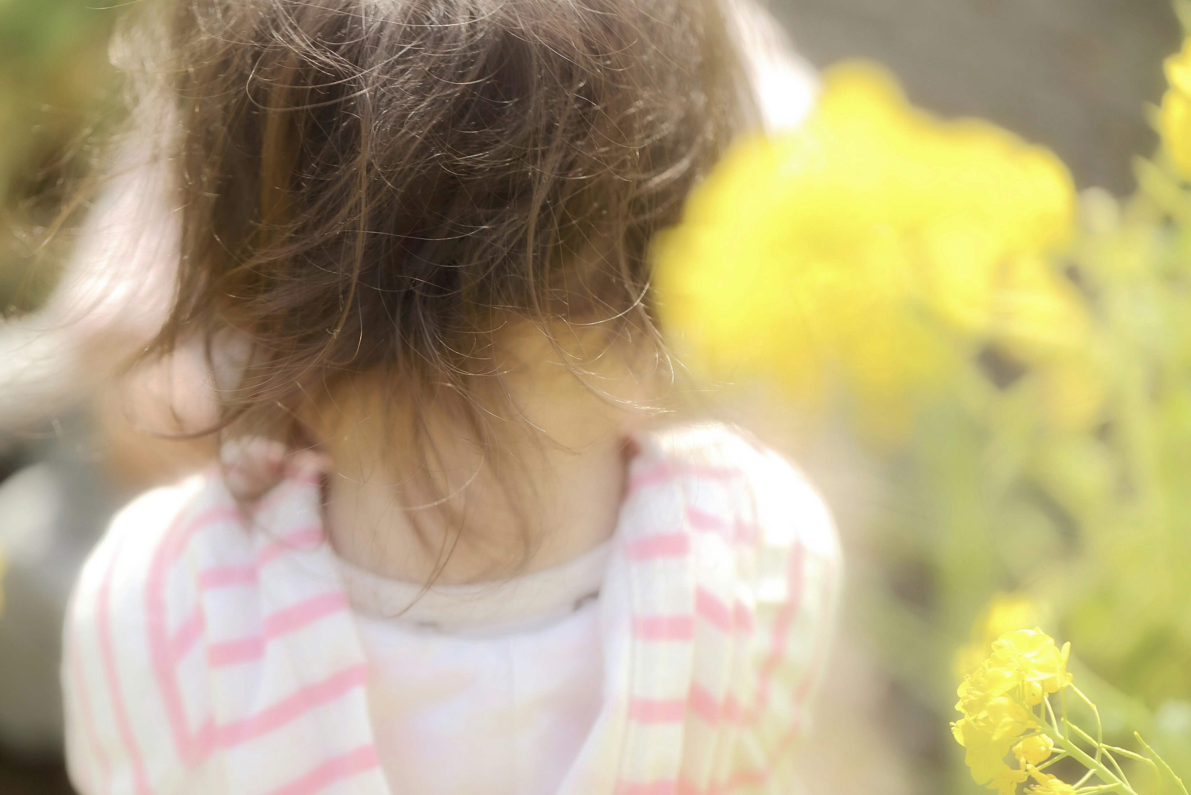 髪の毛がふわっとした子供が黄色い花の近くにいる後ろ姿