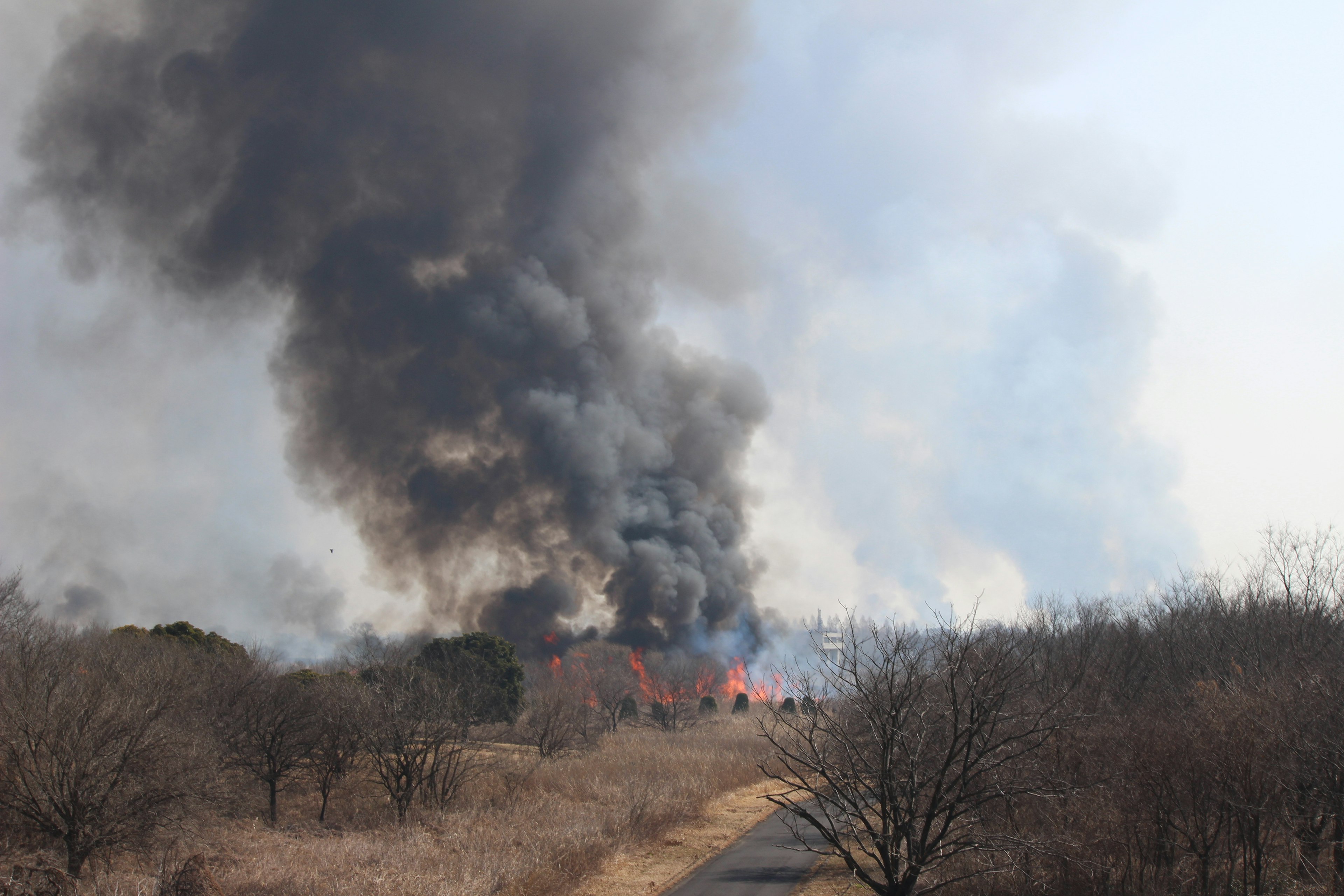 煙が立ち上る火事の風景と乾燥した草原