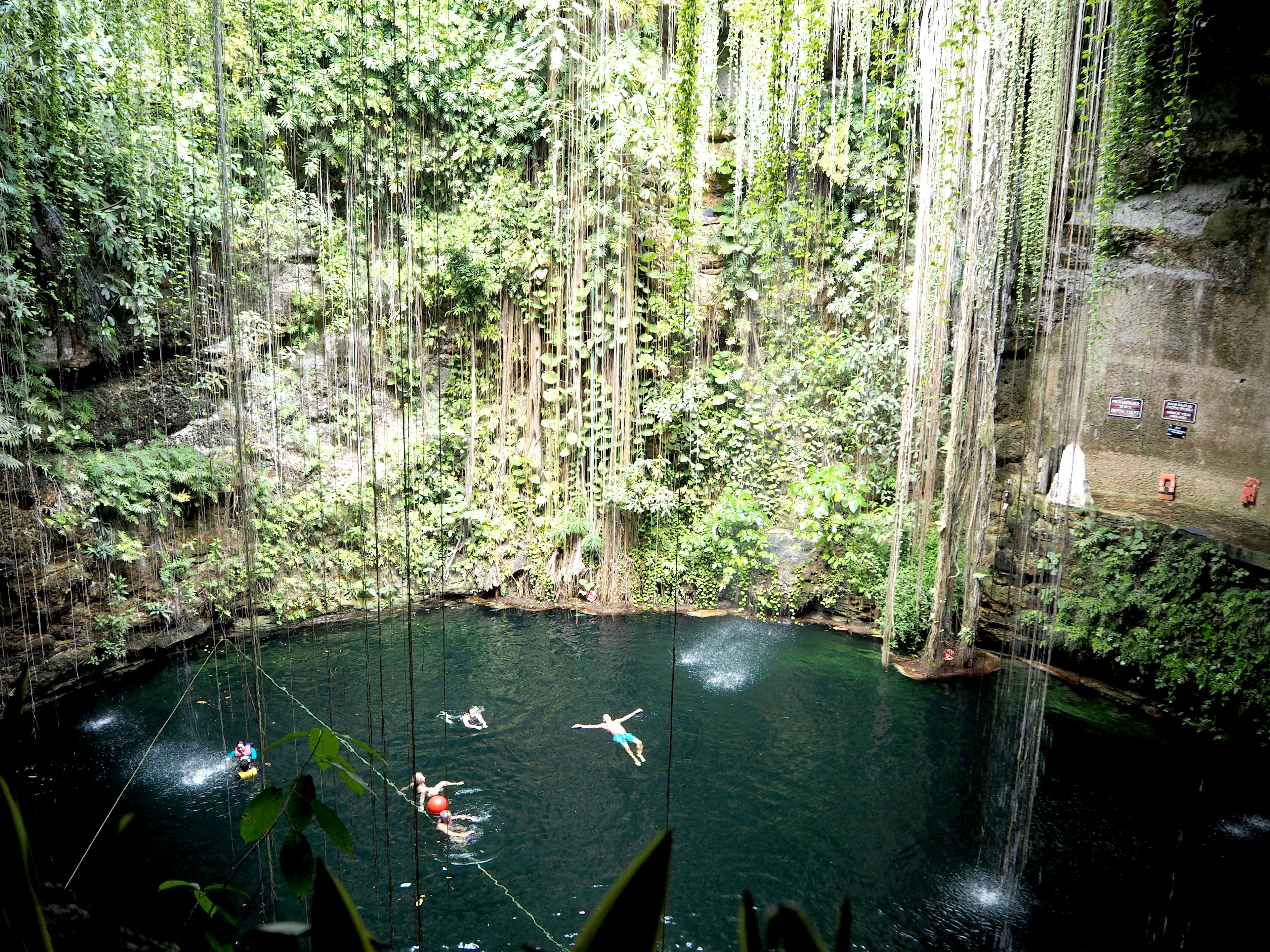 People swimming in a natural pool surrounded by lush greenery in a cave