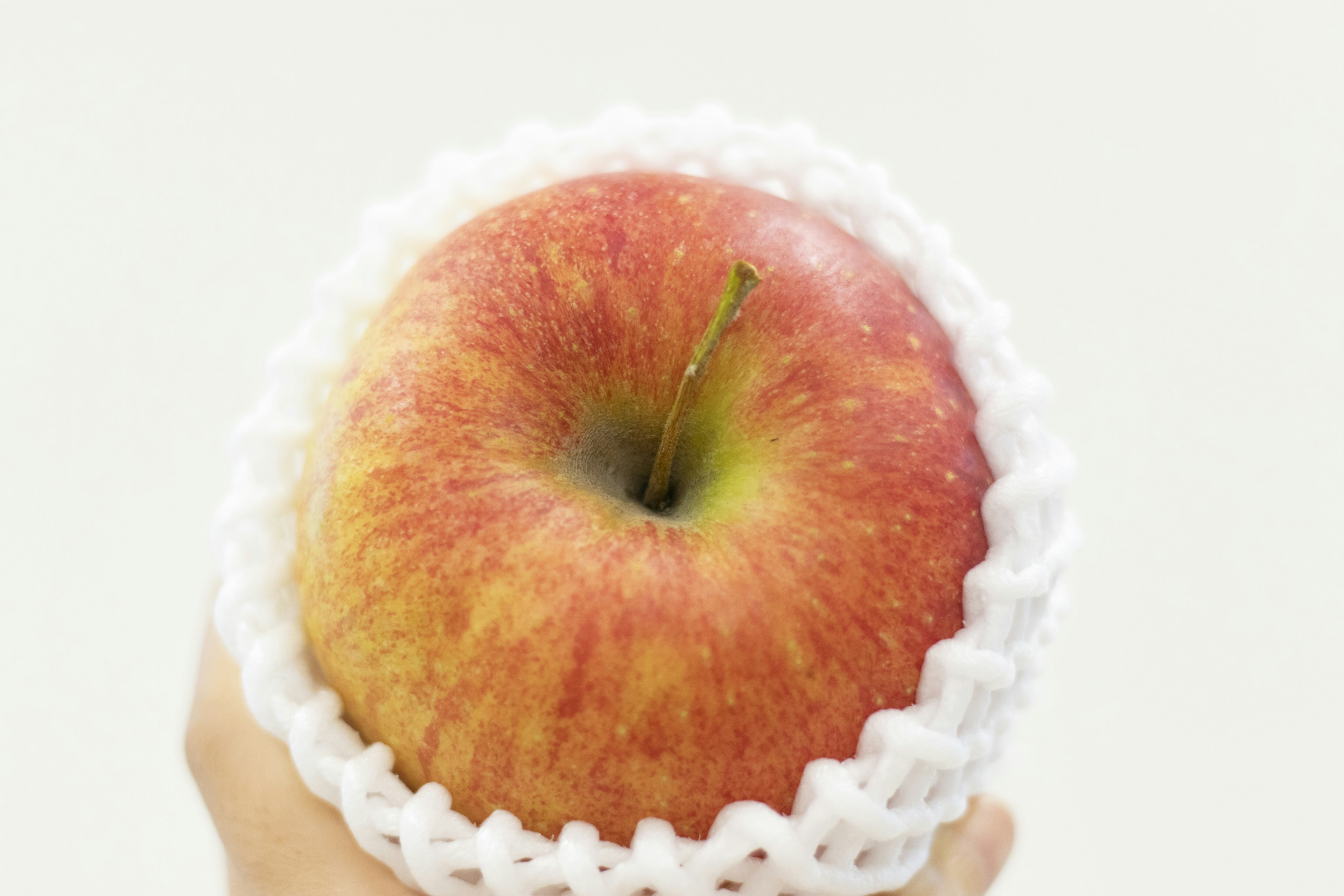 Red apple held in hand wrapped in white netting