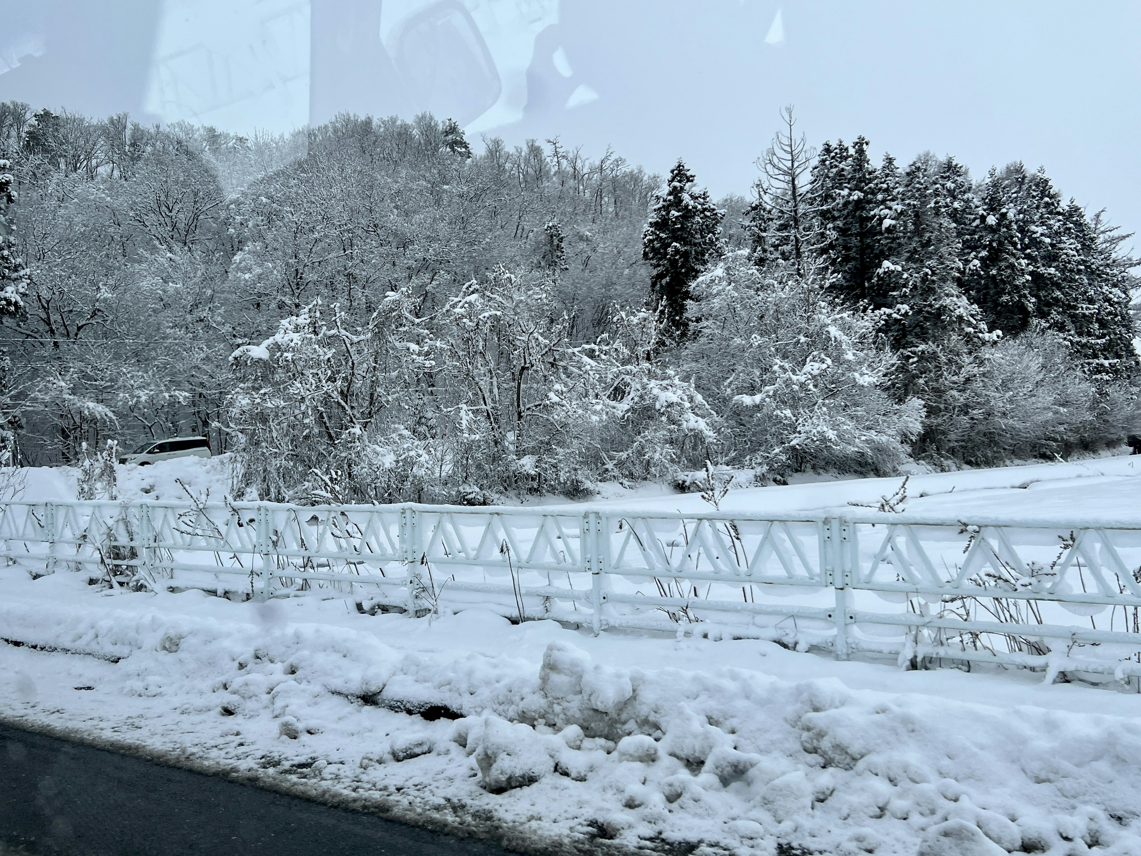 雪覆蓋的風景和白色圍籬