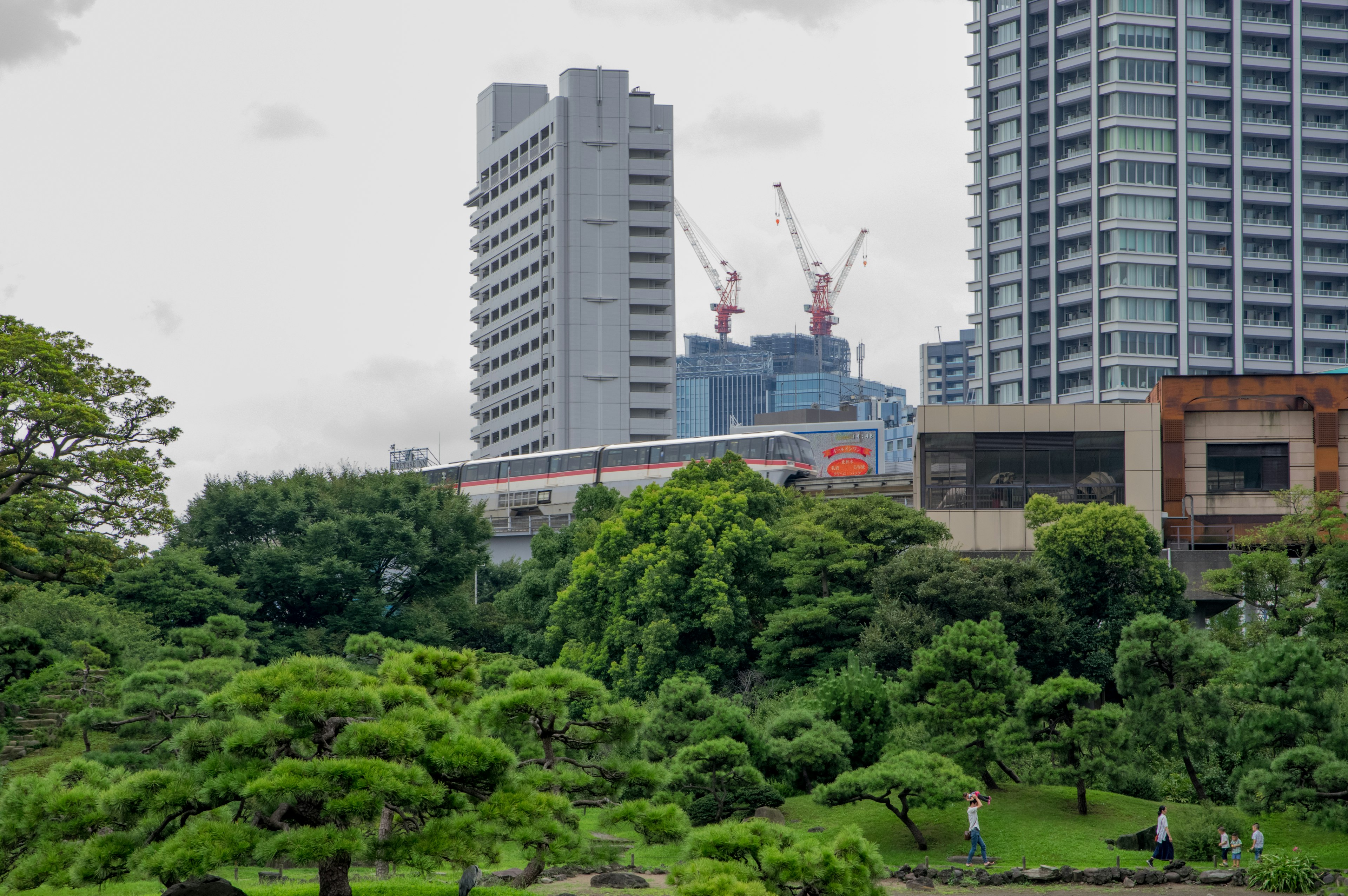 緑豊かな公園と高層ビルの景色が広がる東京の風景