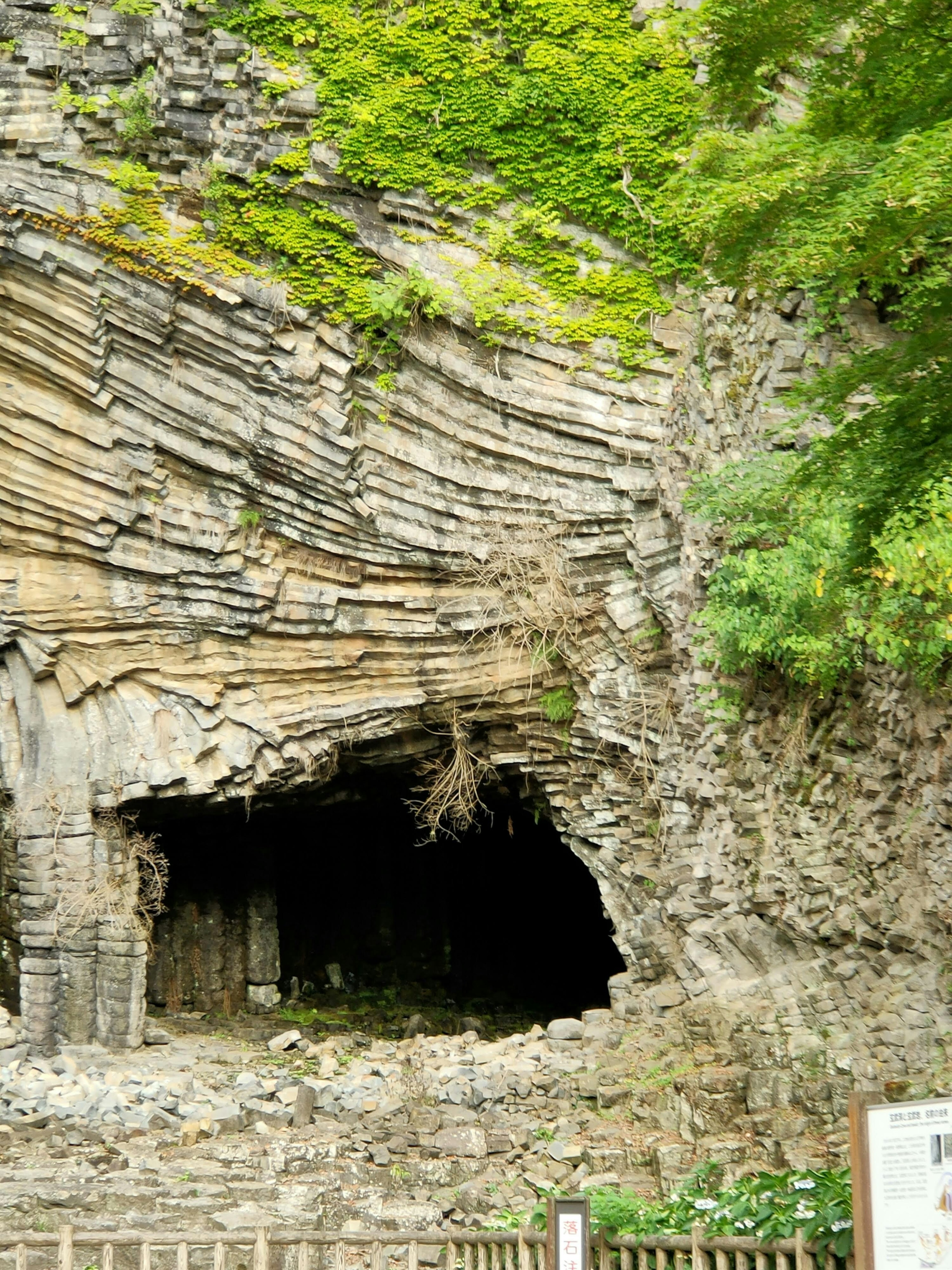 Entrée d'une grotte avec des couches de roche exposées entourées de feuillage vert