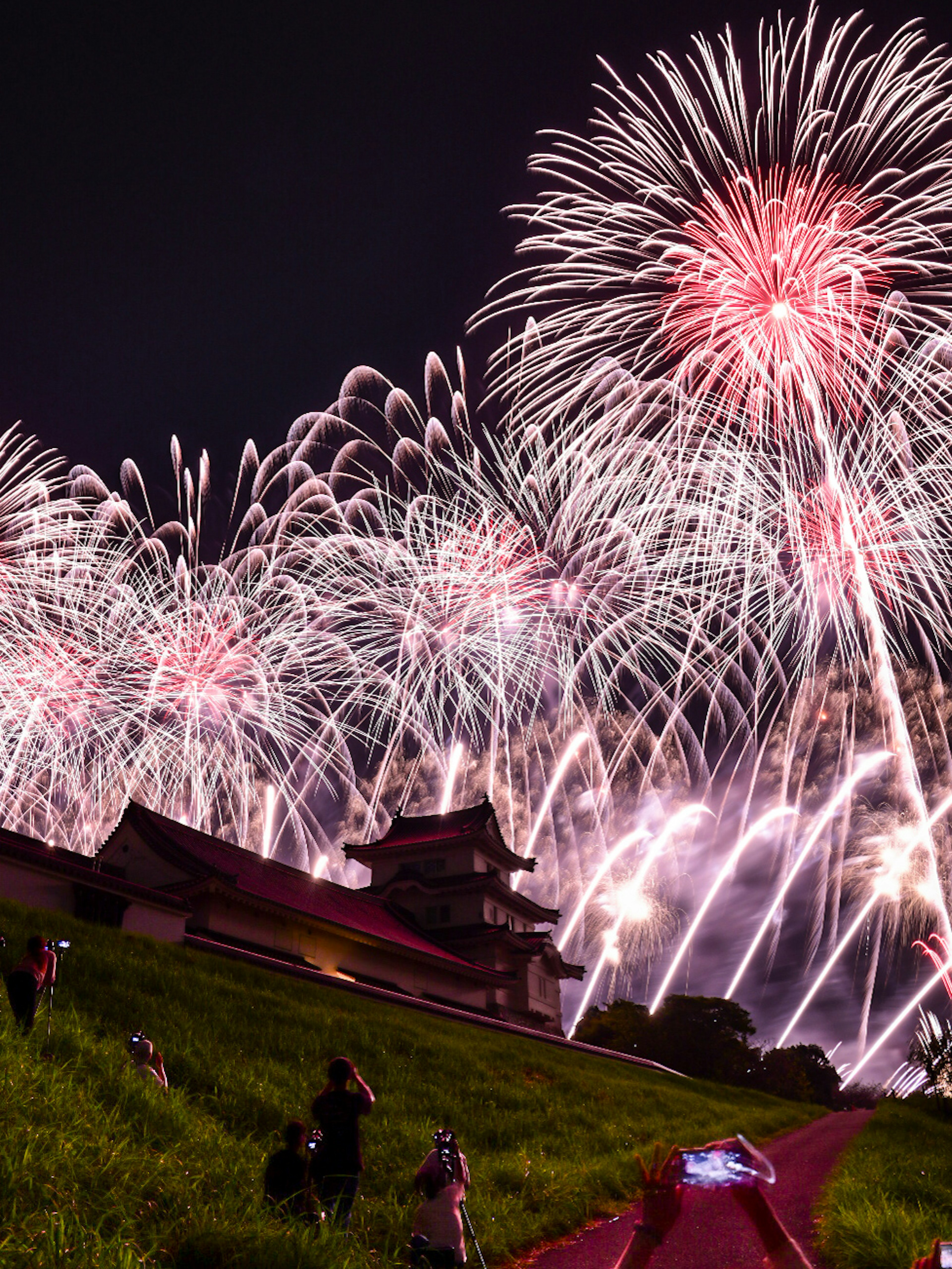 夜空に大輪の花火が打ち上げられ城のシルエットが映える