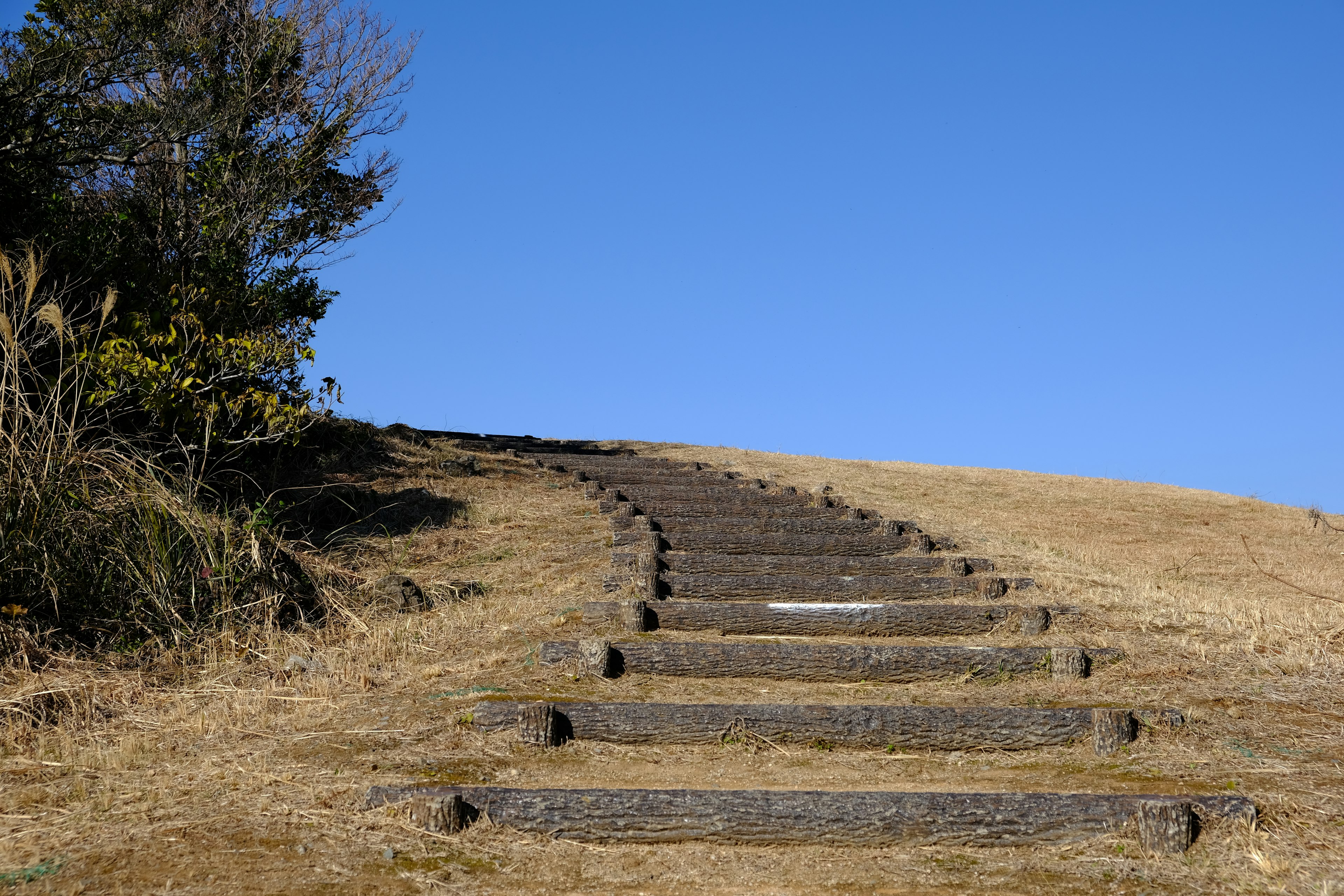 Escaliers en pierre menant à une colline herbeuse sous un ciel bleu clair