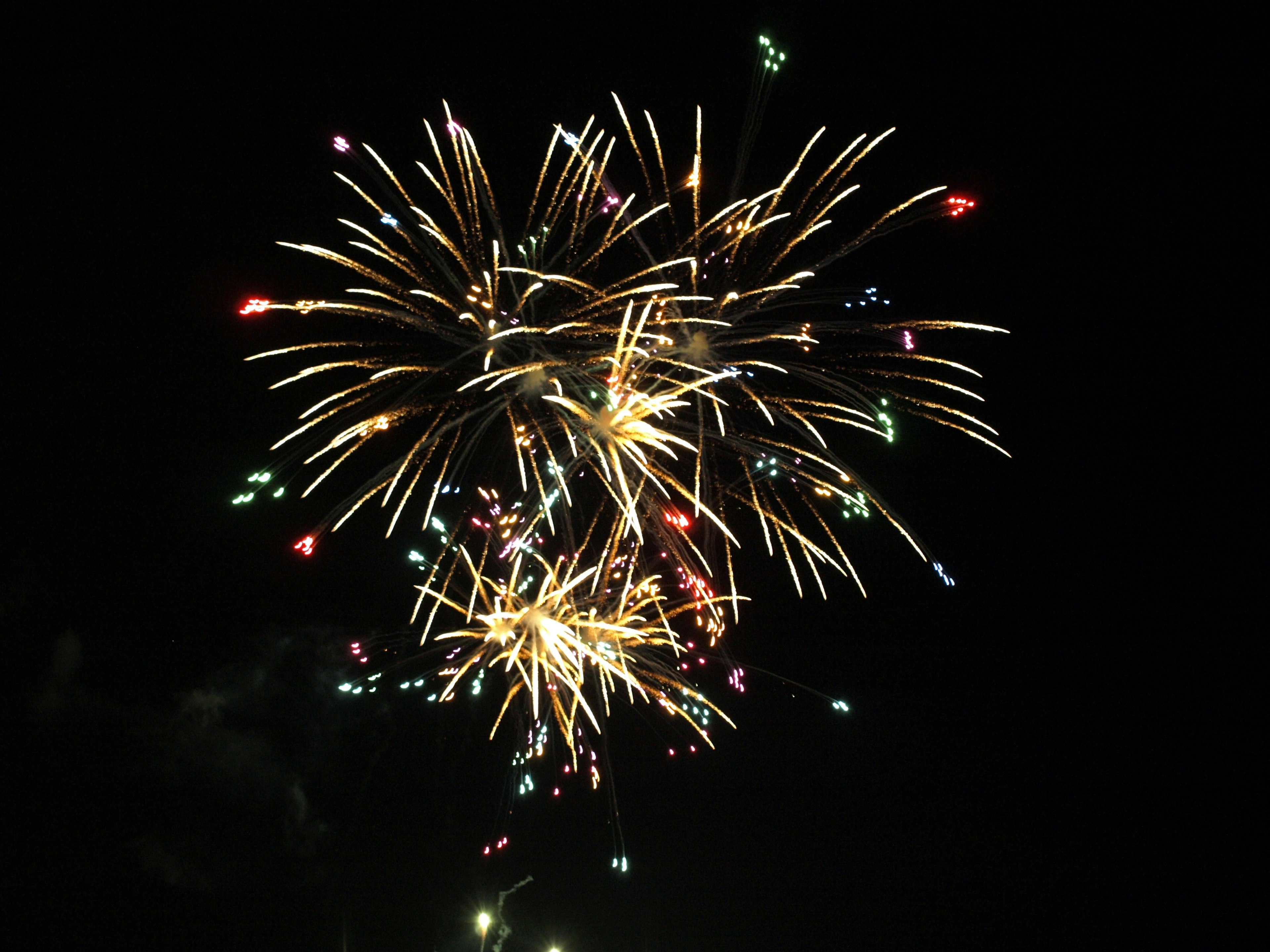 Fuochi d'artificio colorati esplodono nel cielo notturno