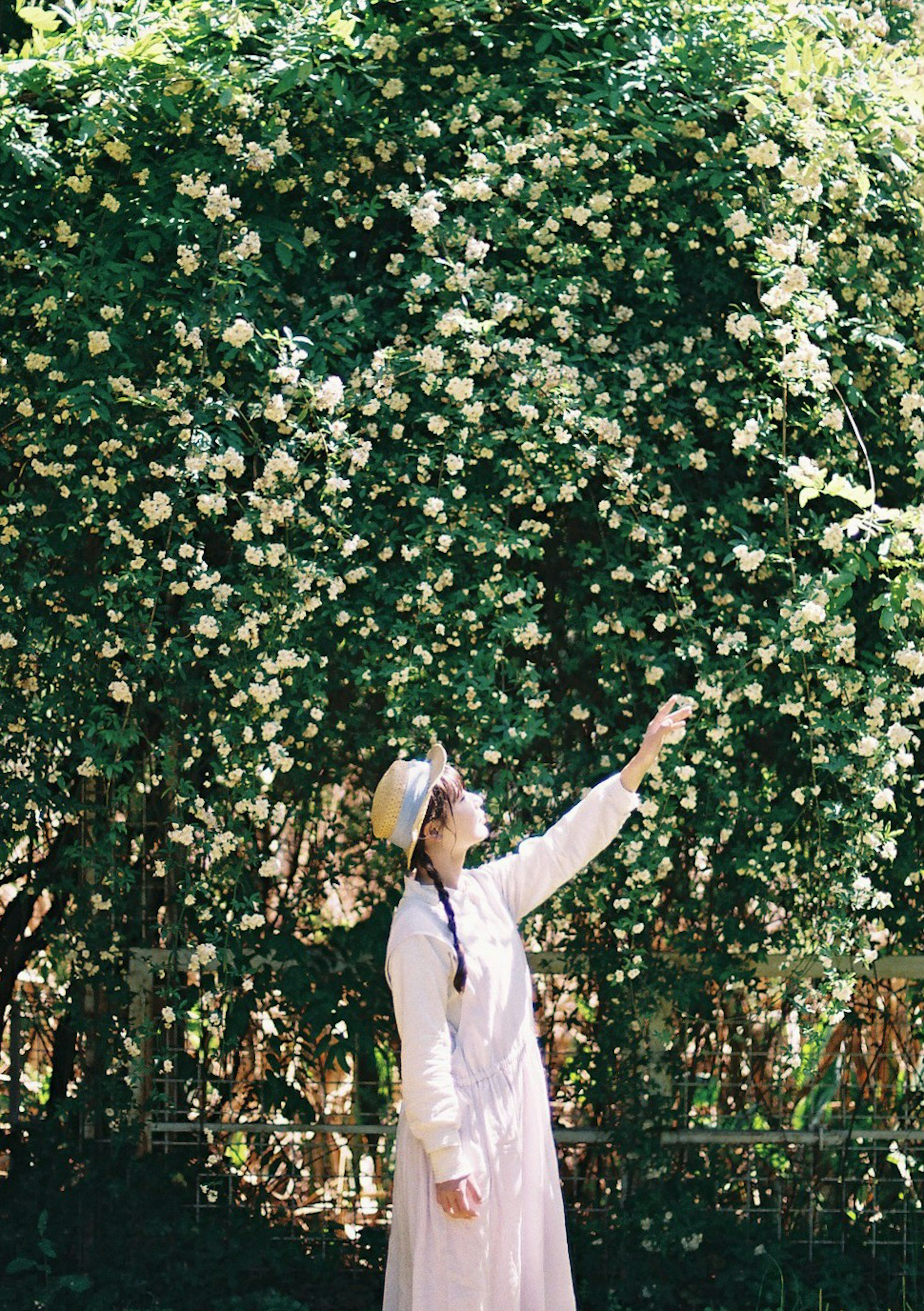 A woman pointing at flowers surrounded by greenery