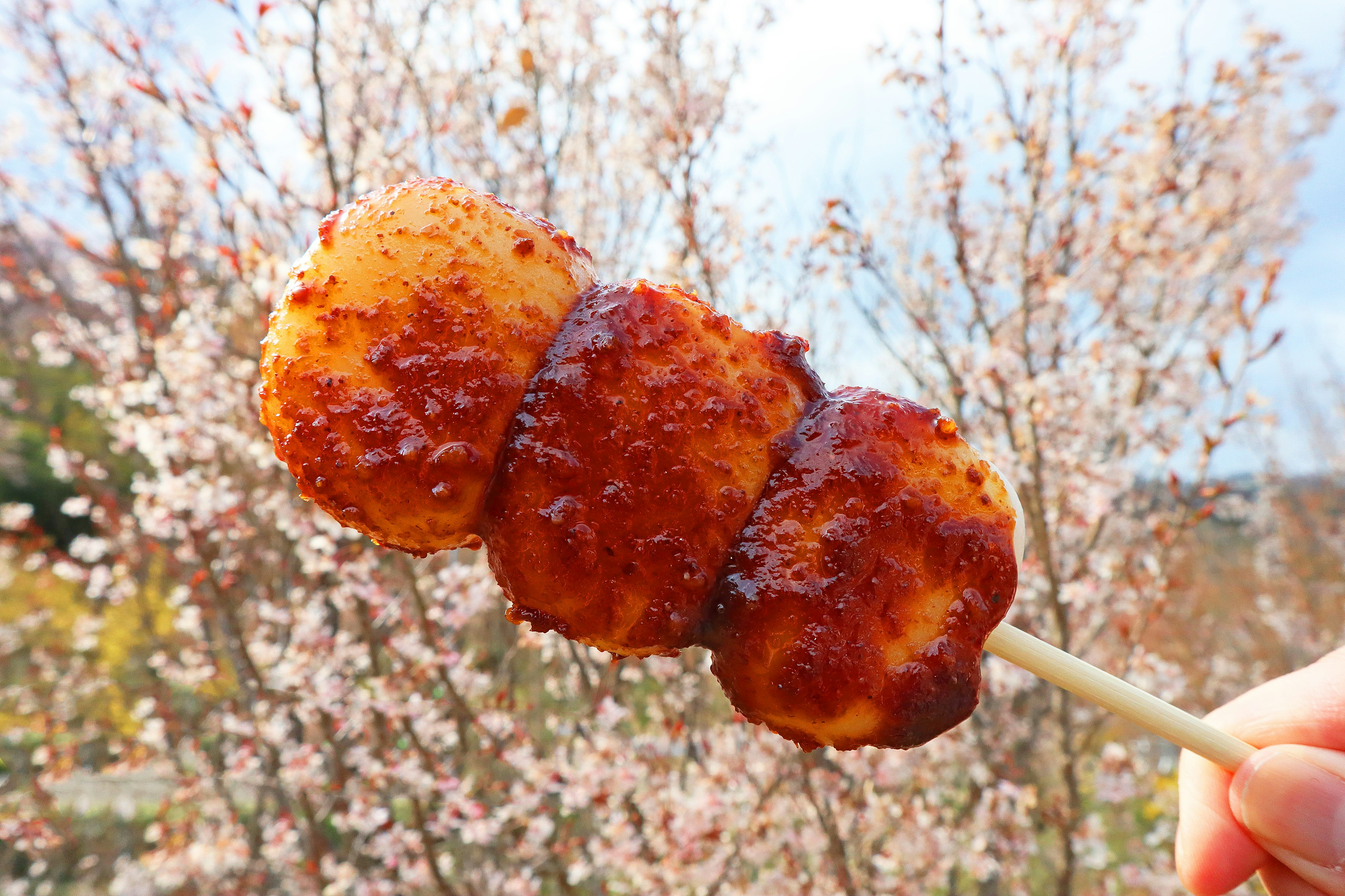 Sweet grilled rice dumpling skewer with cherry blossoms in the background