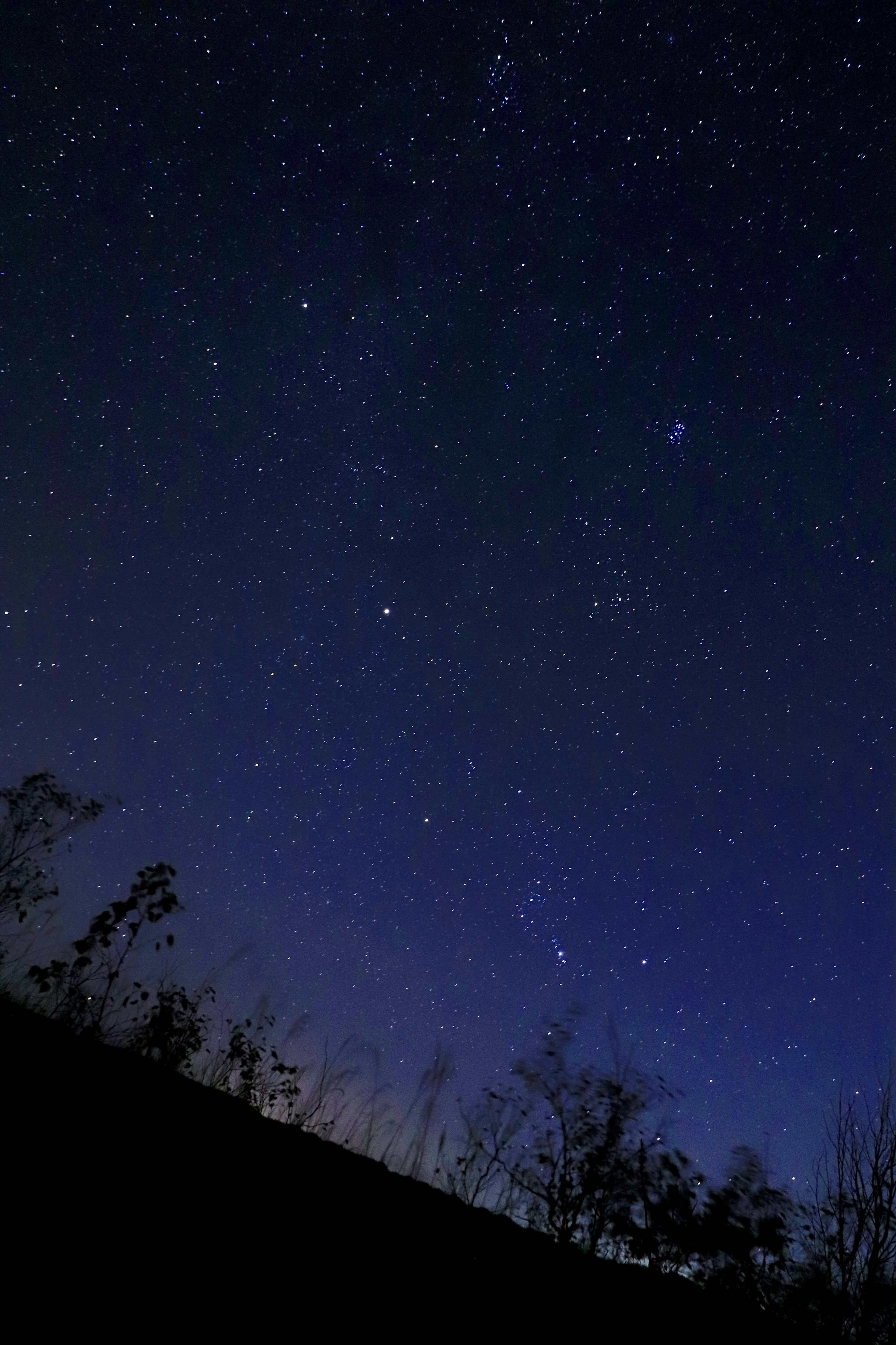 滿天星辰的美麗夜空