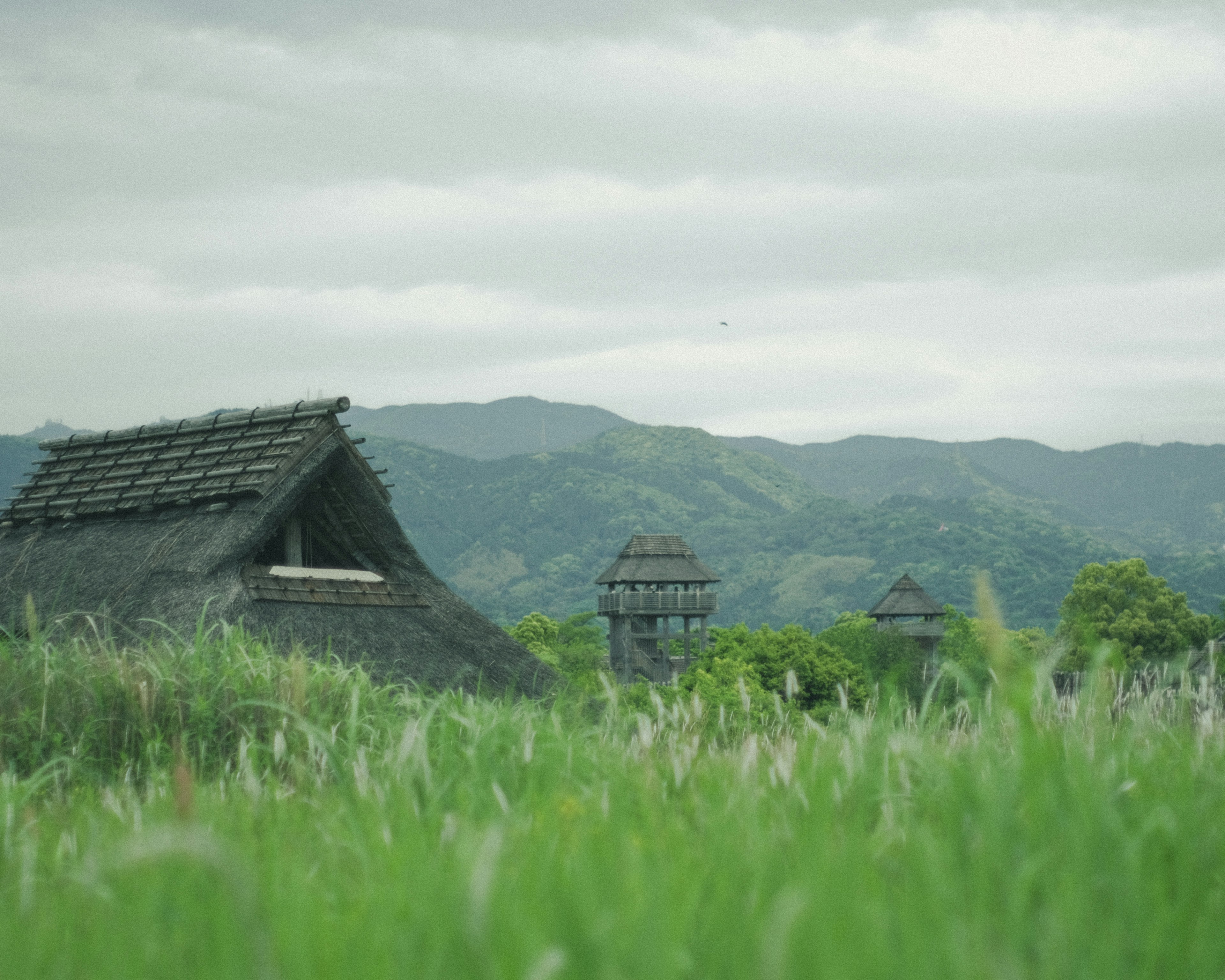 Maison à toit de chaume traditionnel avec des herbes vertes et des montagnes en arrière-plan