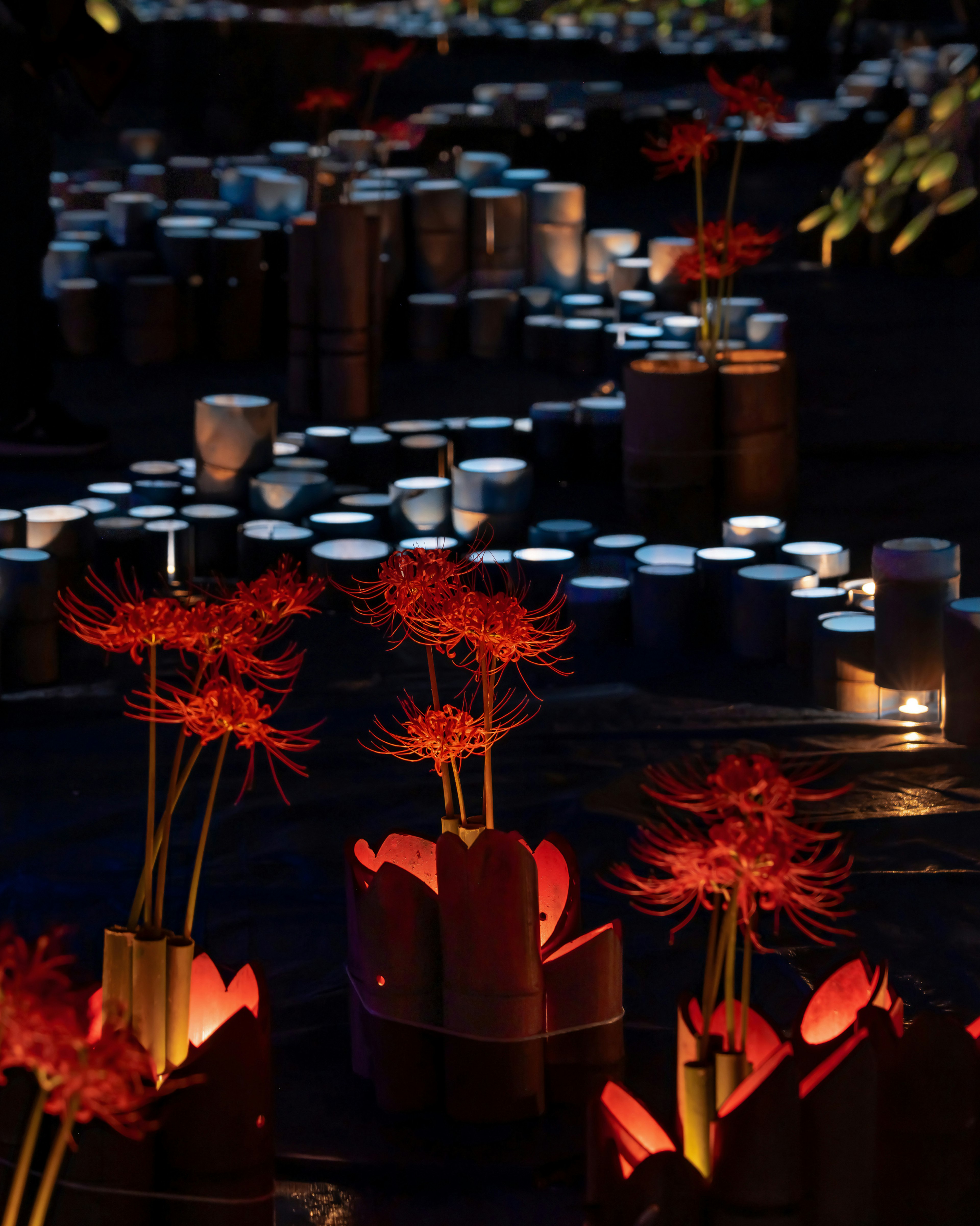 Una hermosa escena con flores rojas y velas brillantes contra un fondo oscuro