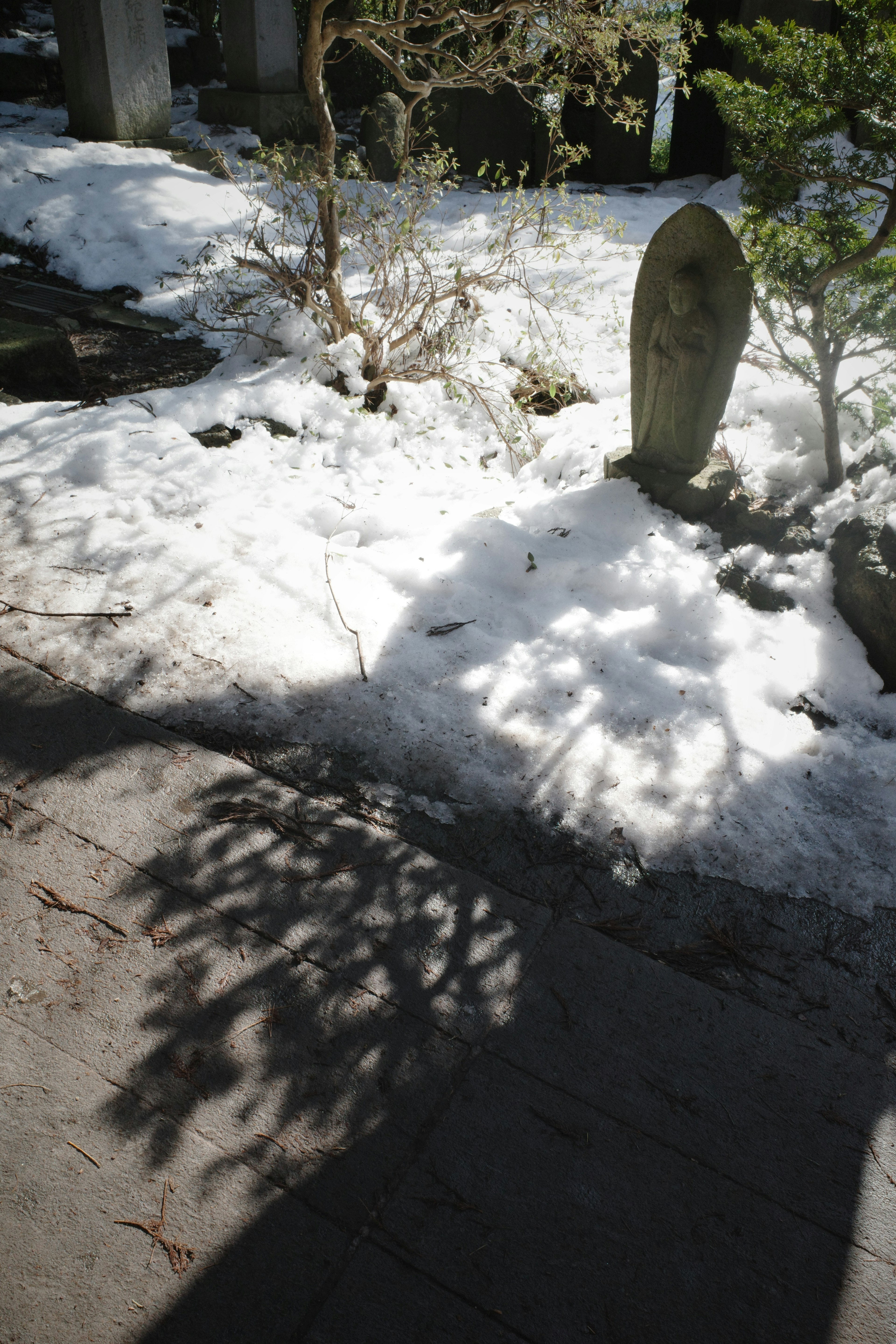 雪覆蓋的花園地面上的陰影