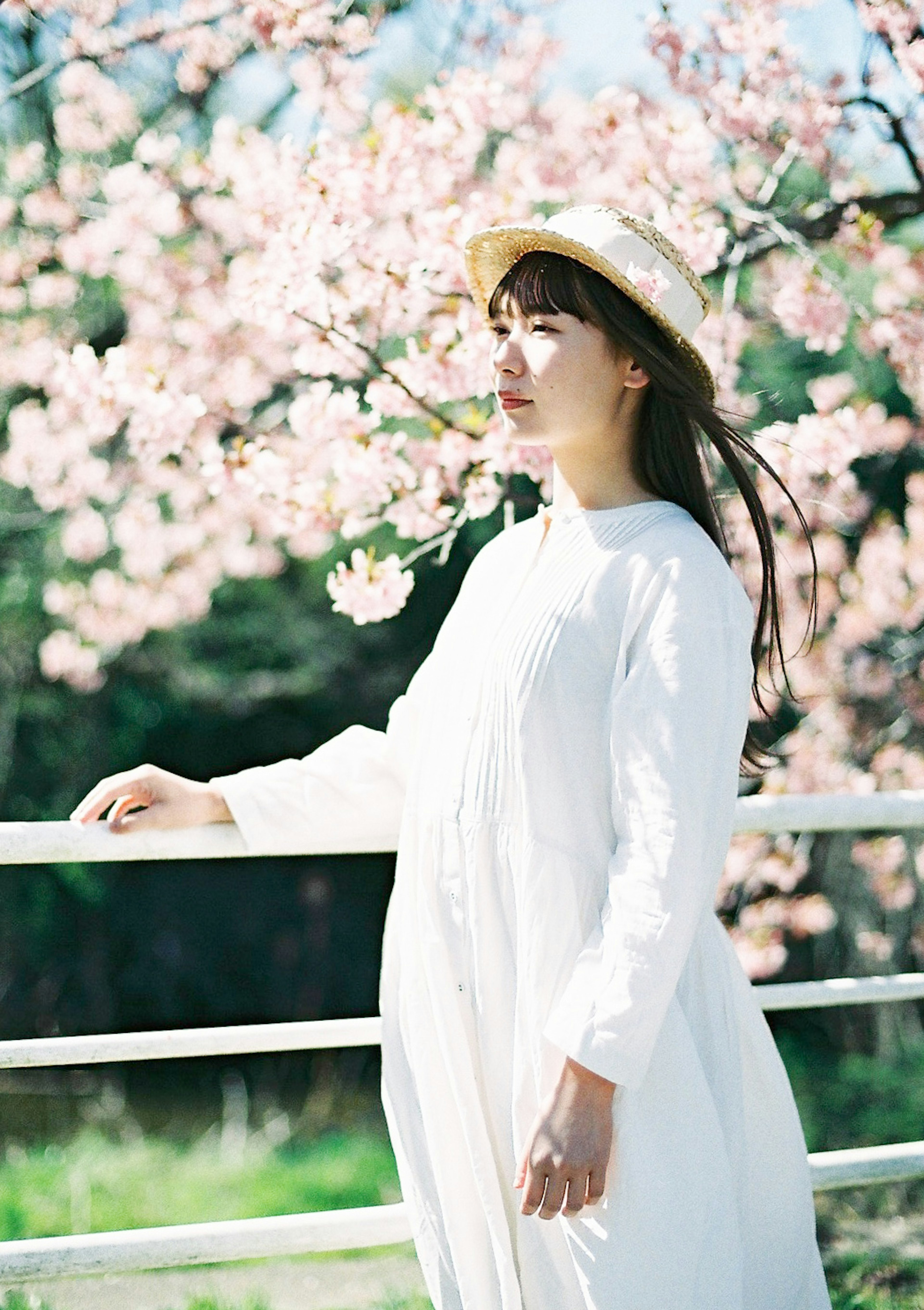 A woman in a white dress stands in front of cherry blossom trees with a serene expression