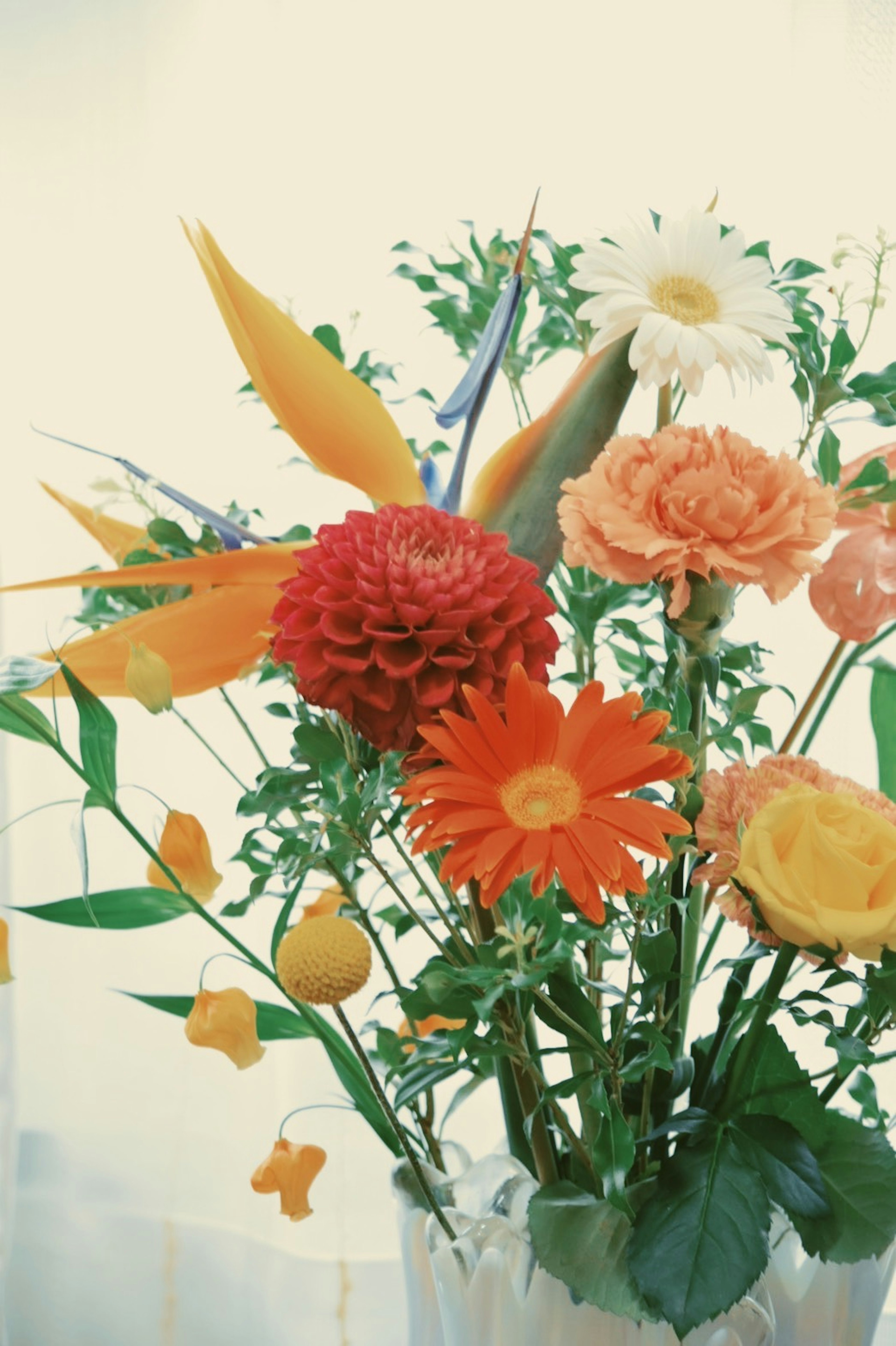 Un bouquet vibrant avec des fleurs colorées et des feuilles vertes