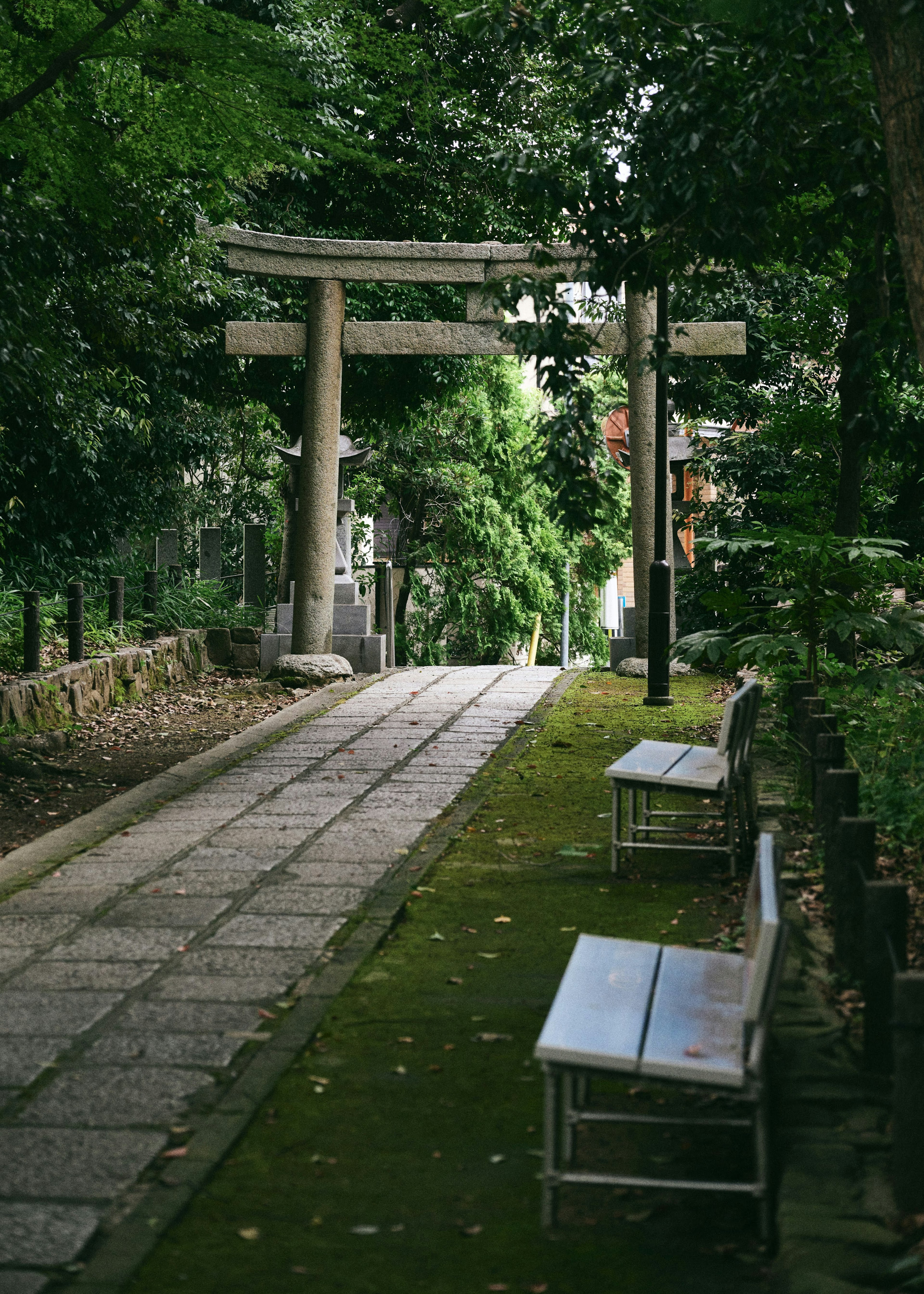 A serene pathway surrounded by greenery with a torii gate and benches