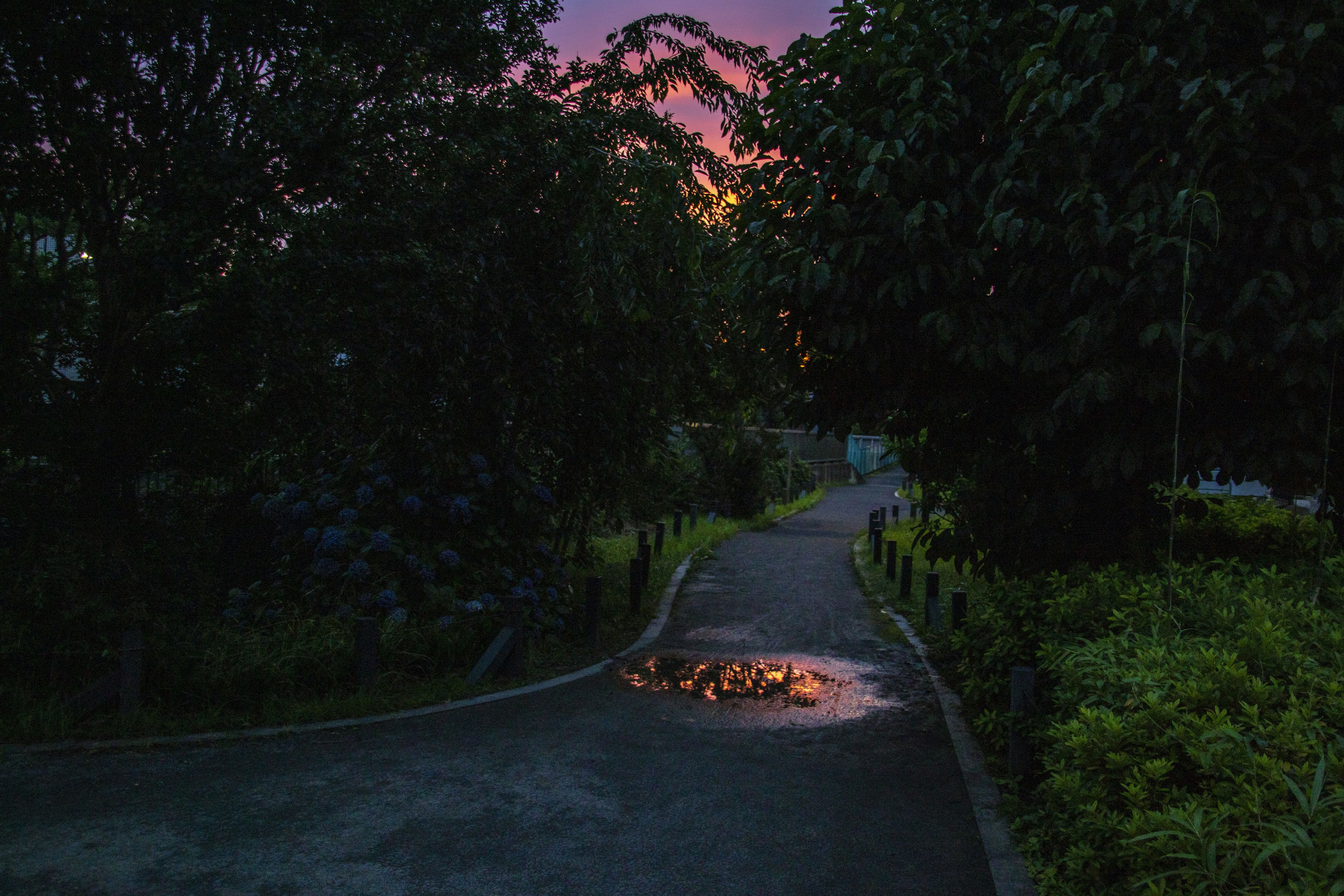 Ein gewundener Weg umgeben von Grün und einem Sonnenuntergangshimmel