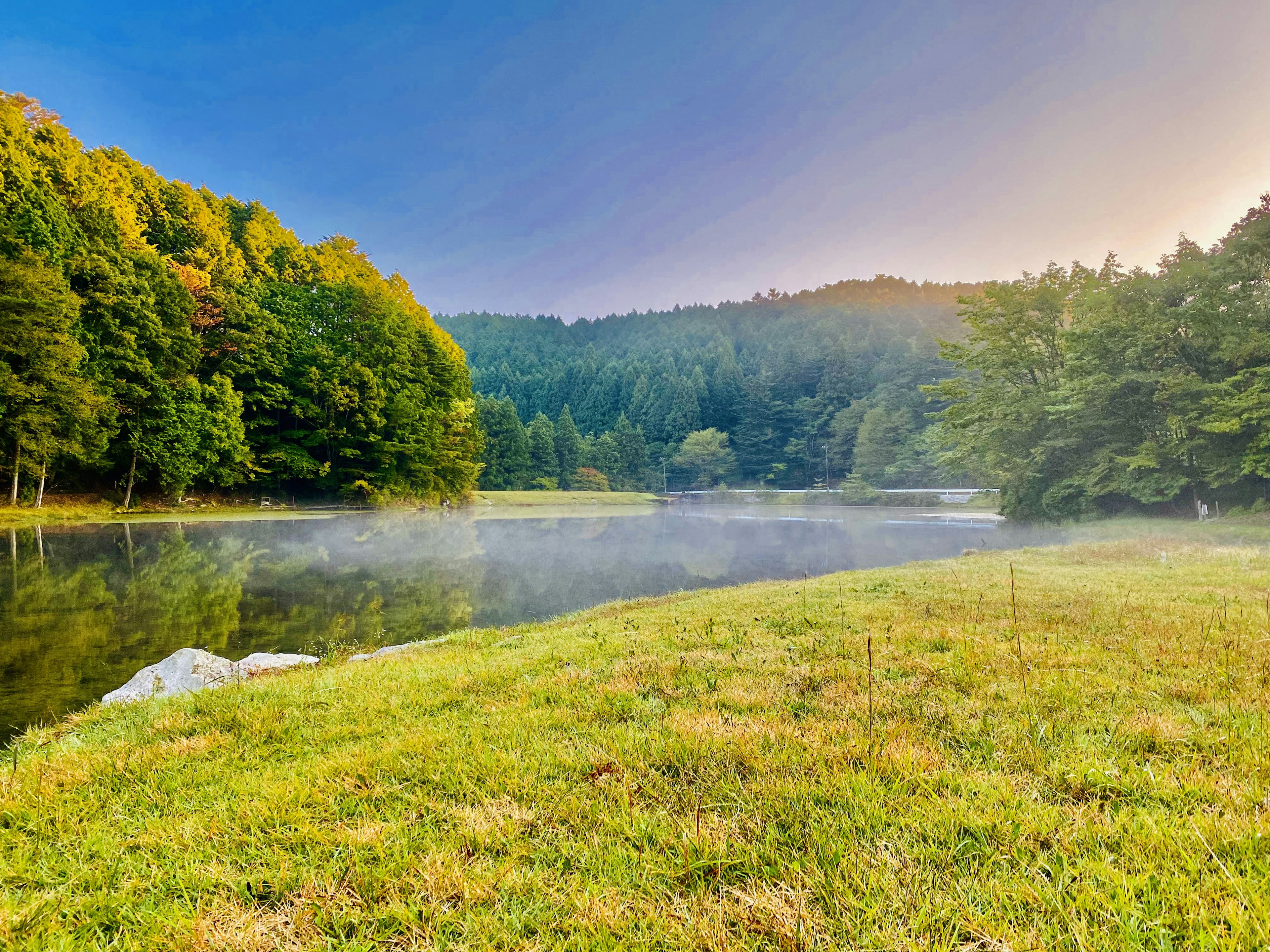 Vista panoramica di un lago circondato da alberi verdi lussureggianti