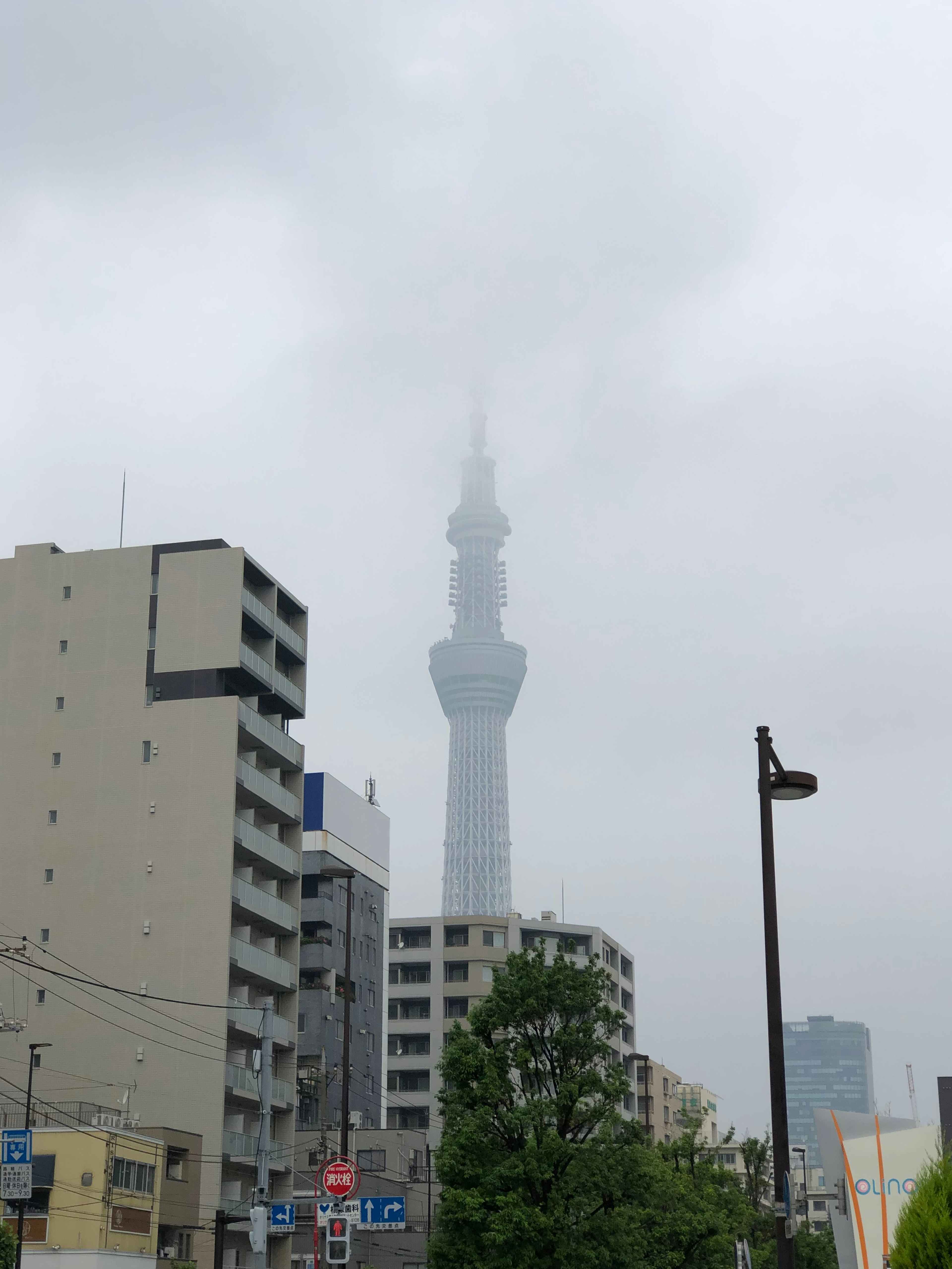 Tokyo Skytree ที่ถูกเมฆปกคลุมบางส่วนพร้อมอาคารรอบข้าง