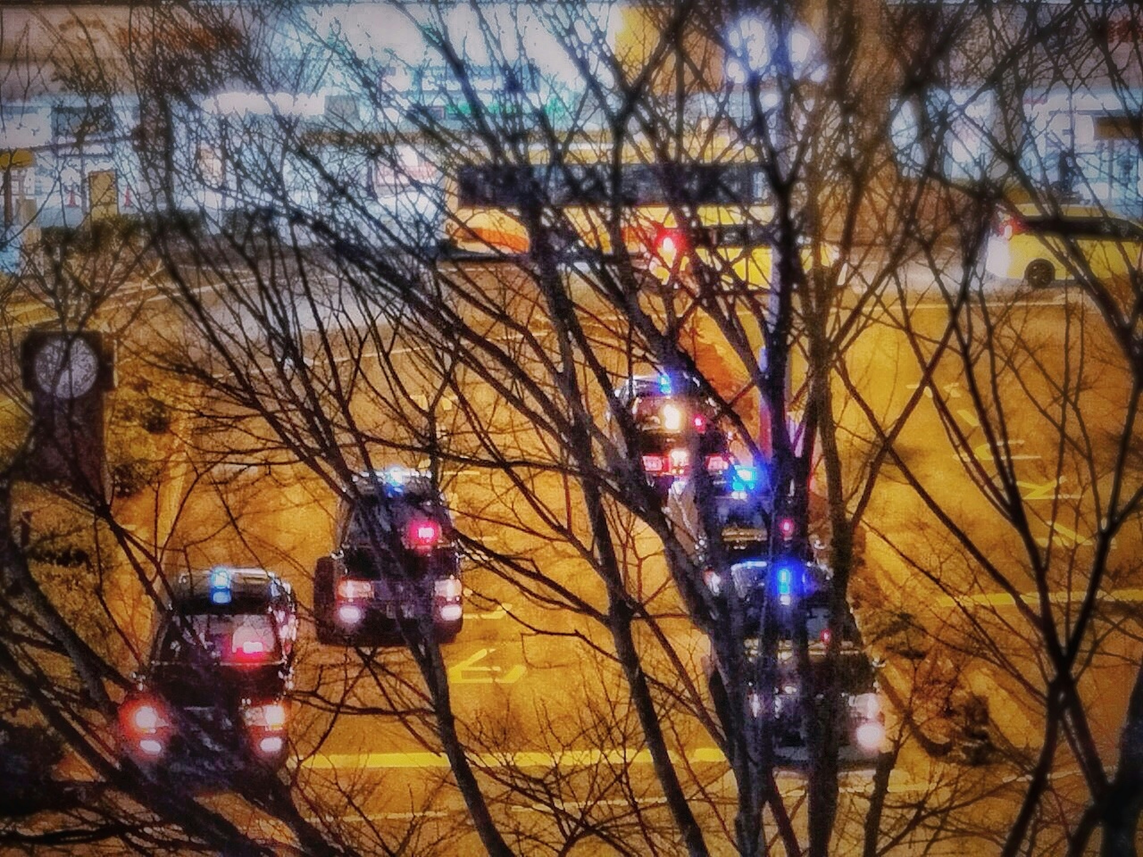 Police cars stopped at a night intersection with tree silhouettes