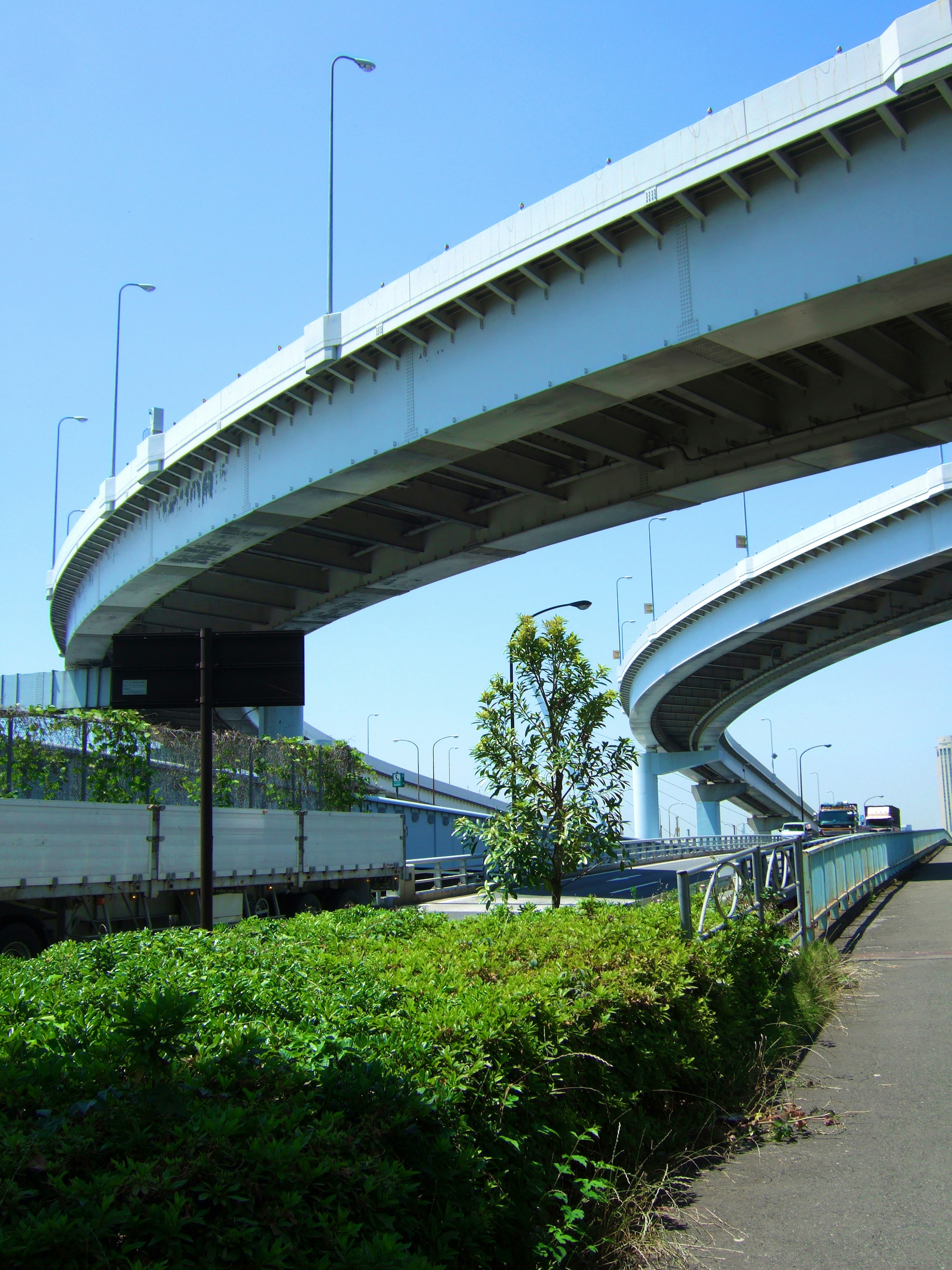 Vegetación verde debajo de una autopista elevada con cielo azul claro