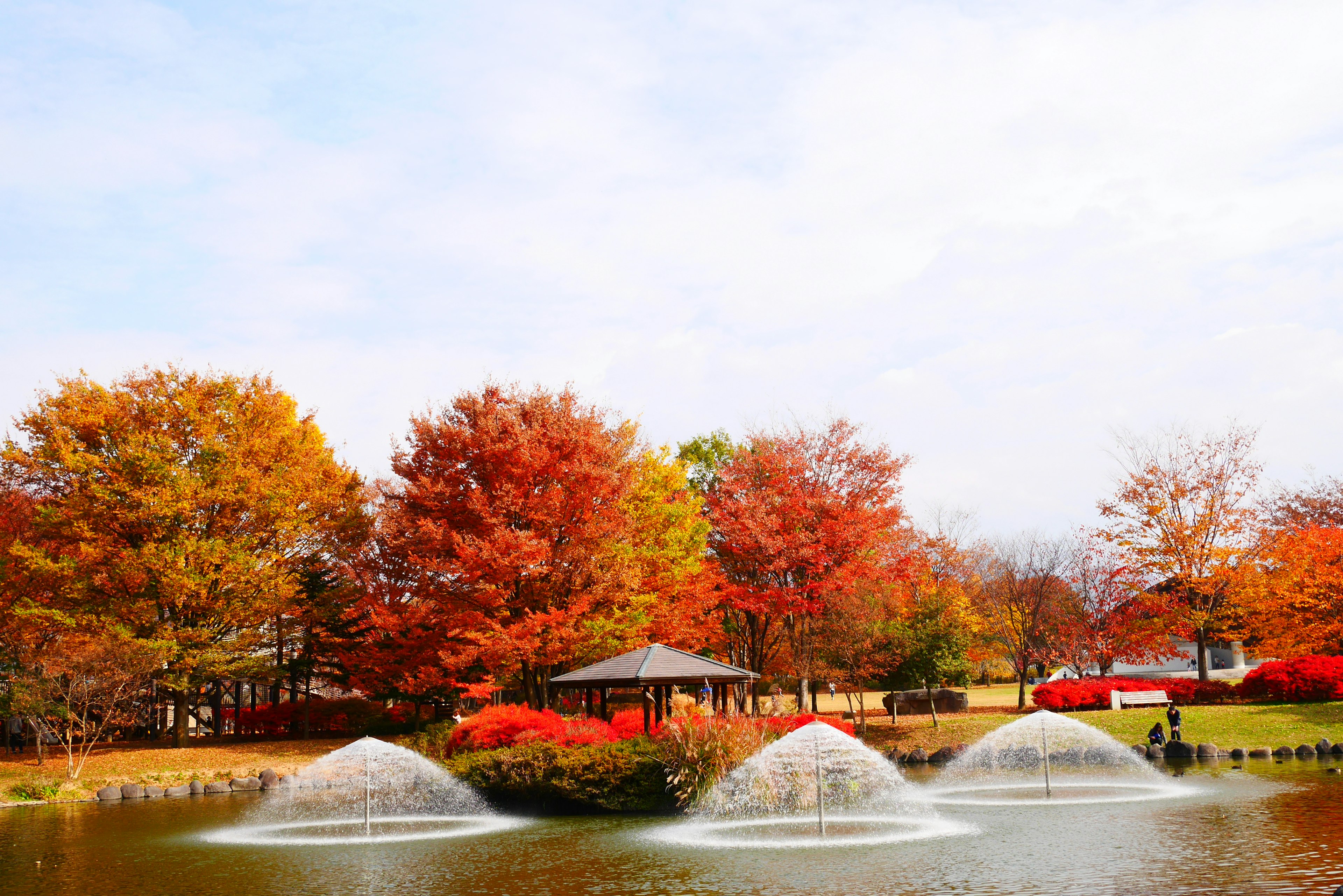 Scenic view of a park with autumn foliage and fountains