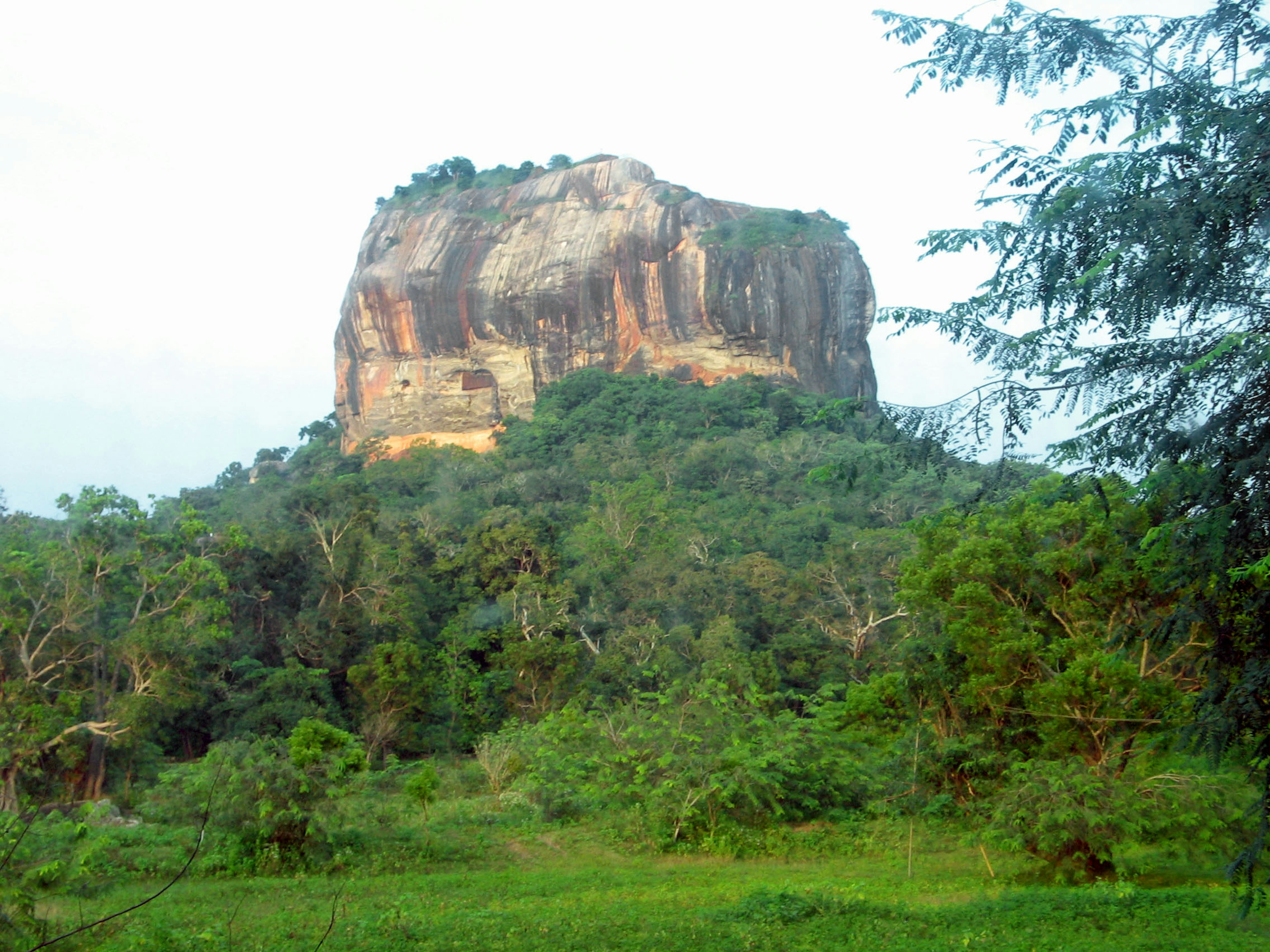 A large rock mountain surrounded by green trees