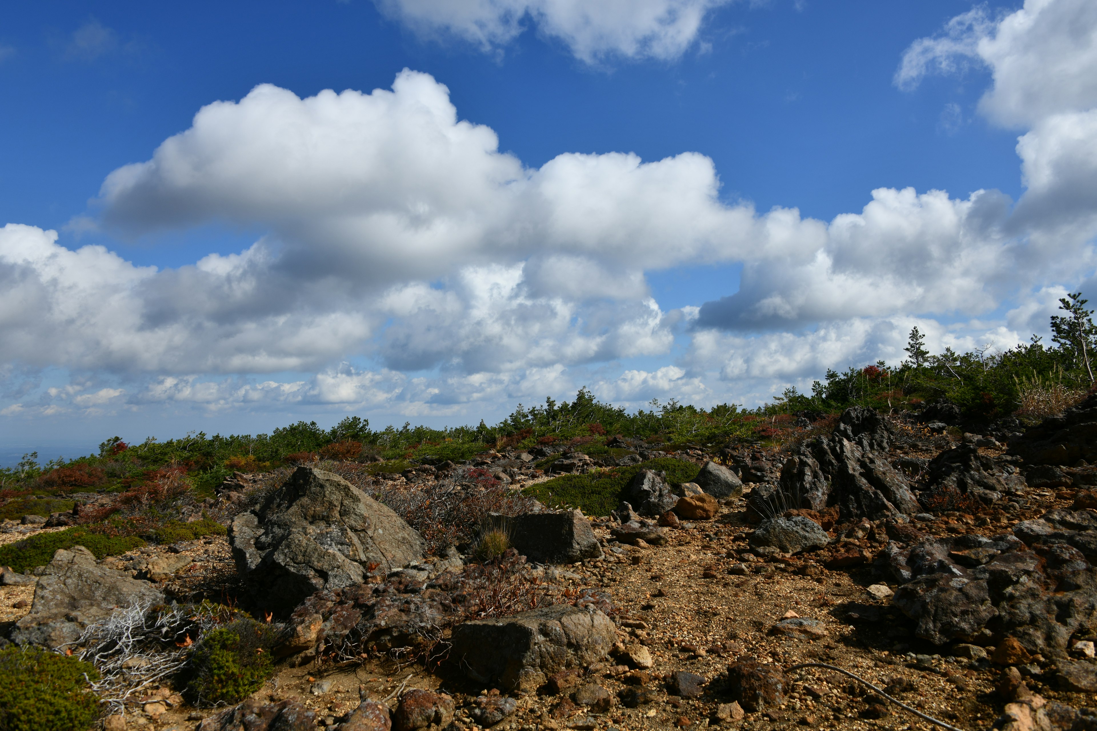 Paesaggio con cielo blu e nuvole bianche terreno roccioso con vegetazione sparsa