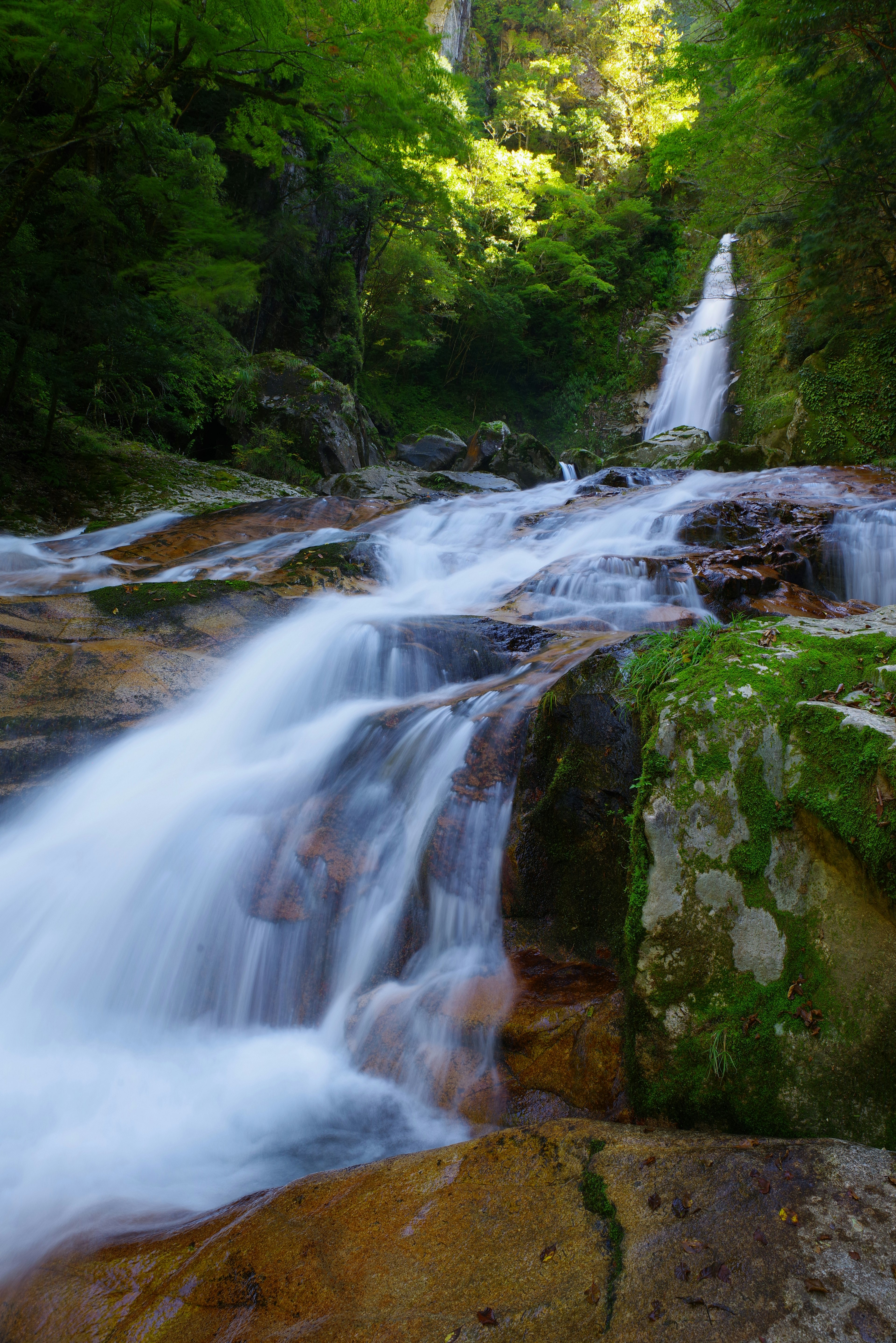 Wunderschöner Wasserfall, der über Felsen fließt, umgeben von üppigem Grün