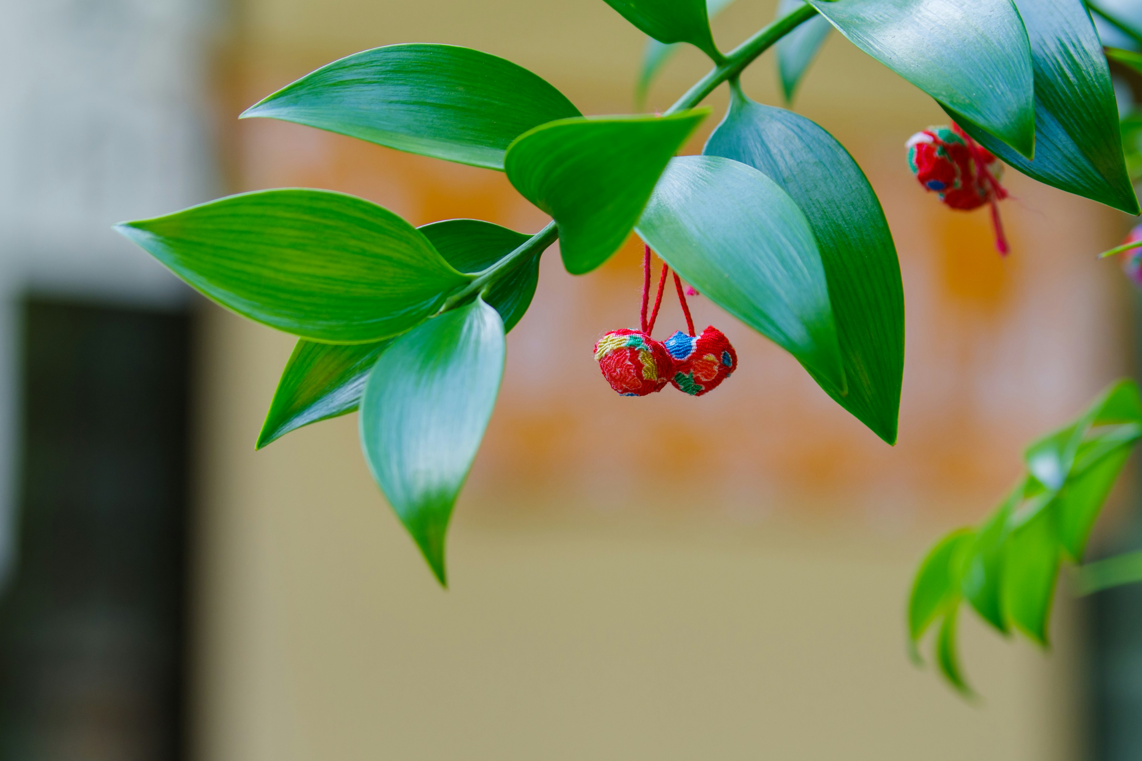 Branch with green leaves and red berries