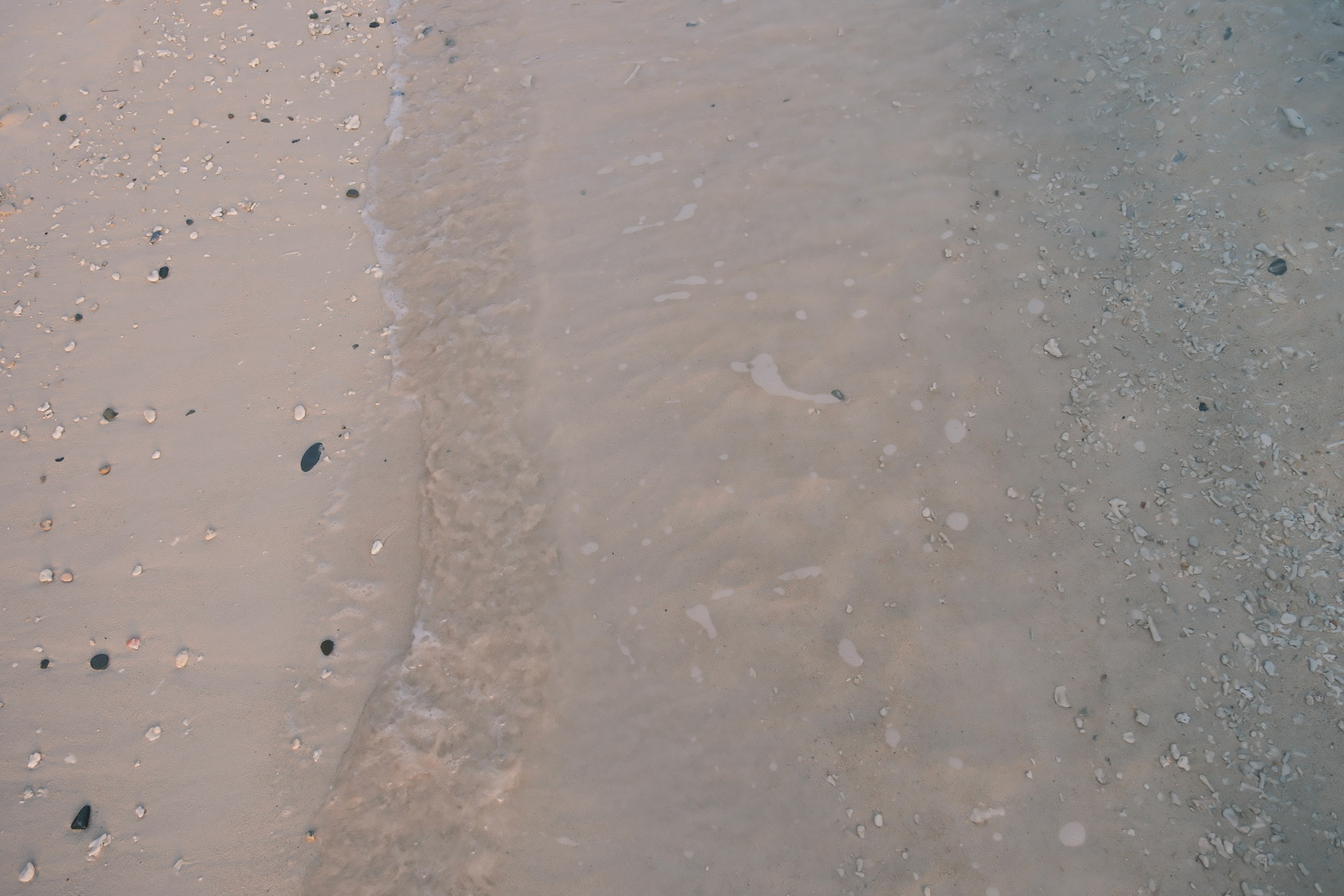 Une plage de sable près de la mer avec des petits cailloux éparpillés