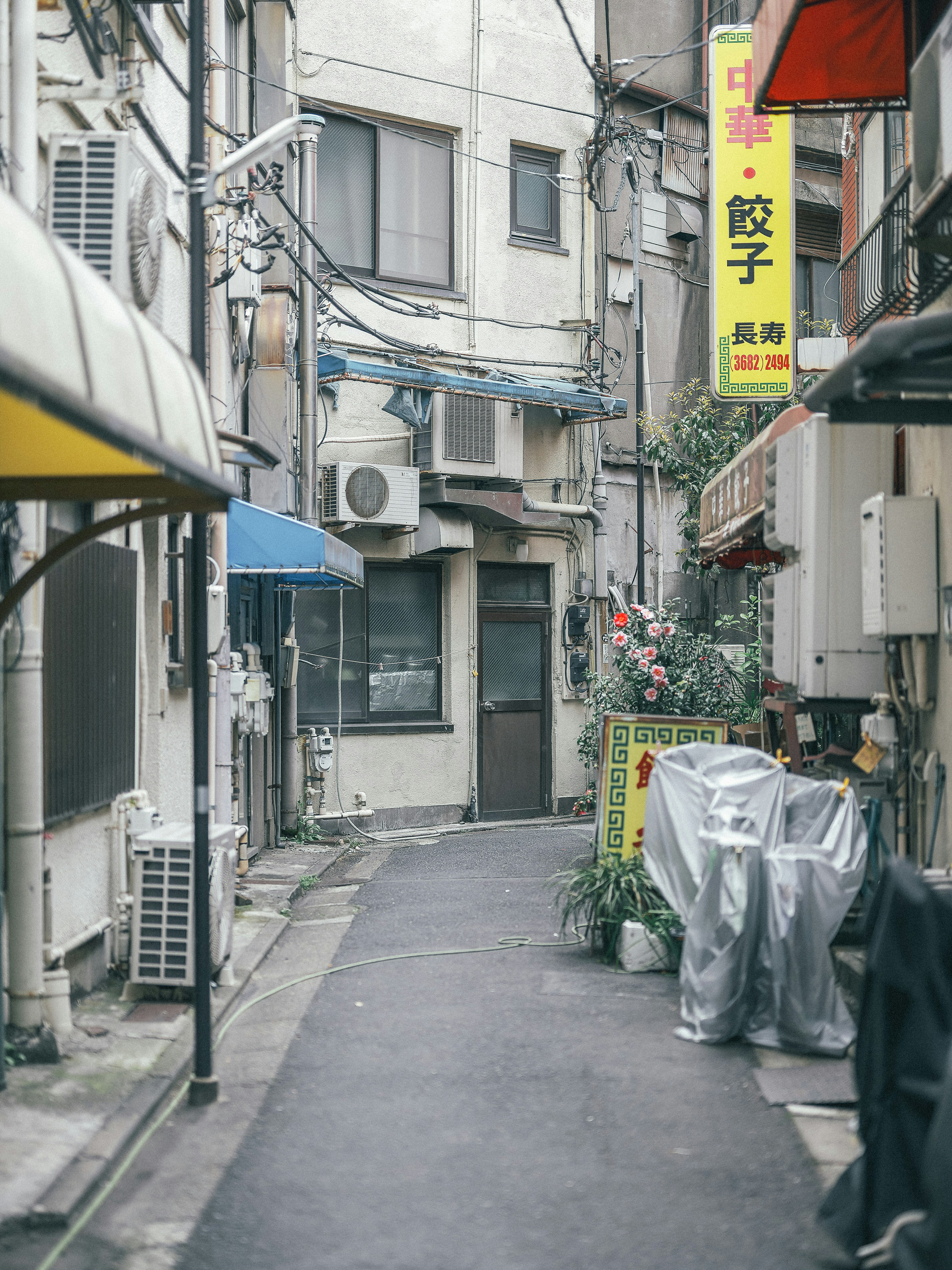 Ruelle étroite avec des bâtiments et des enseignes distinctives