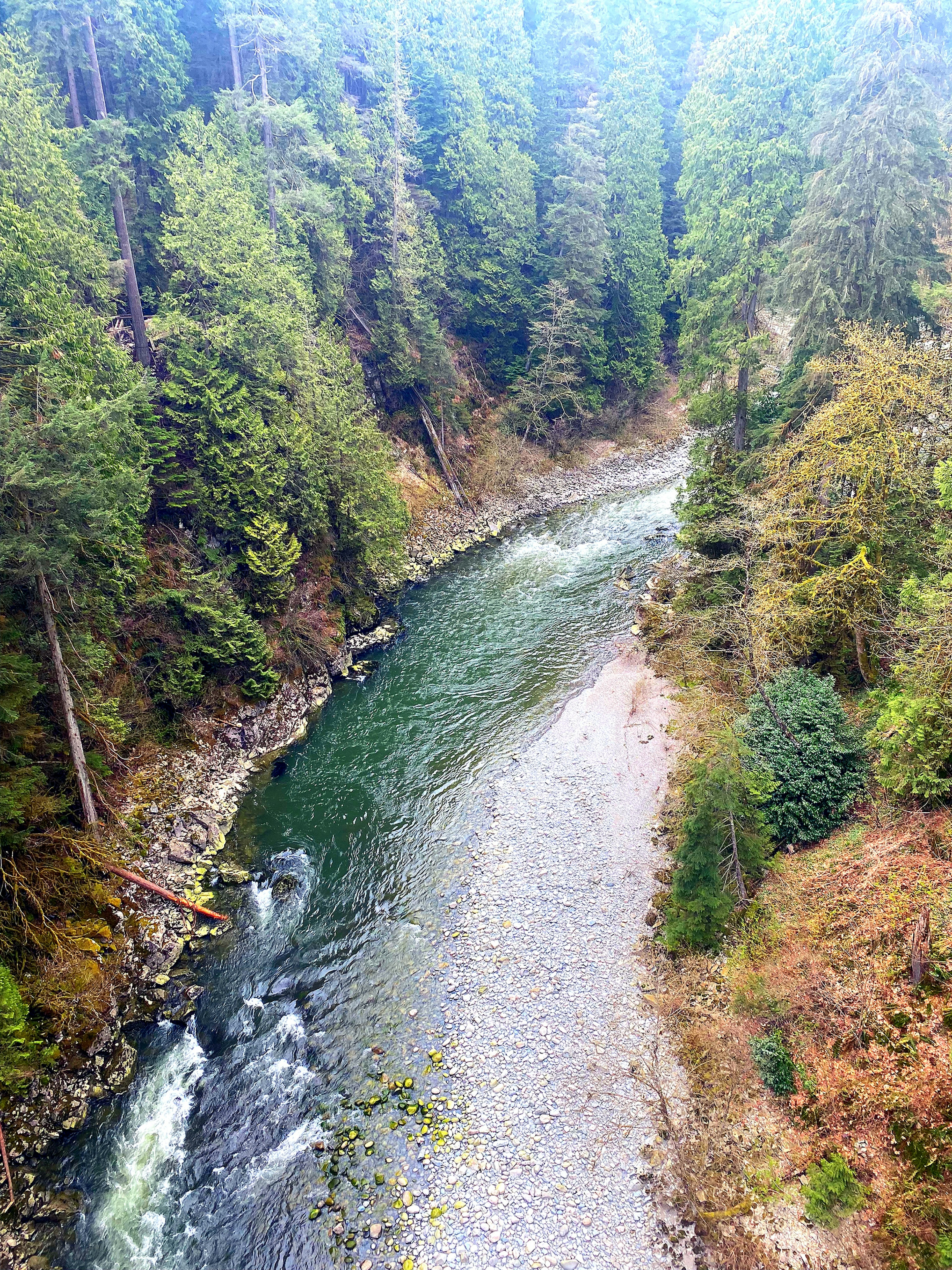 Winding river umgeben von üppigem grünem Wald und steinigen Ufern