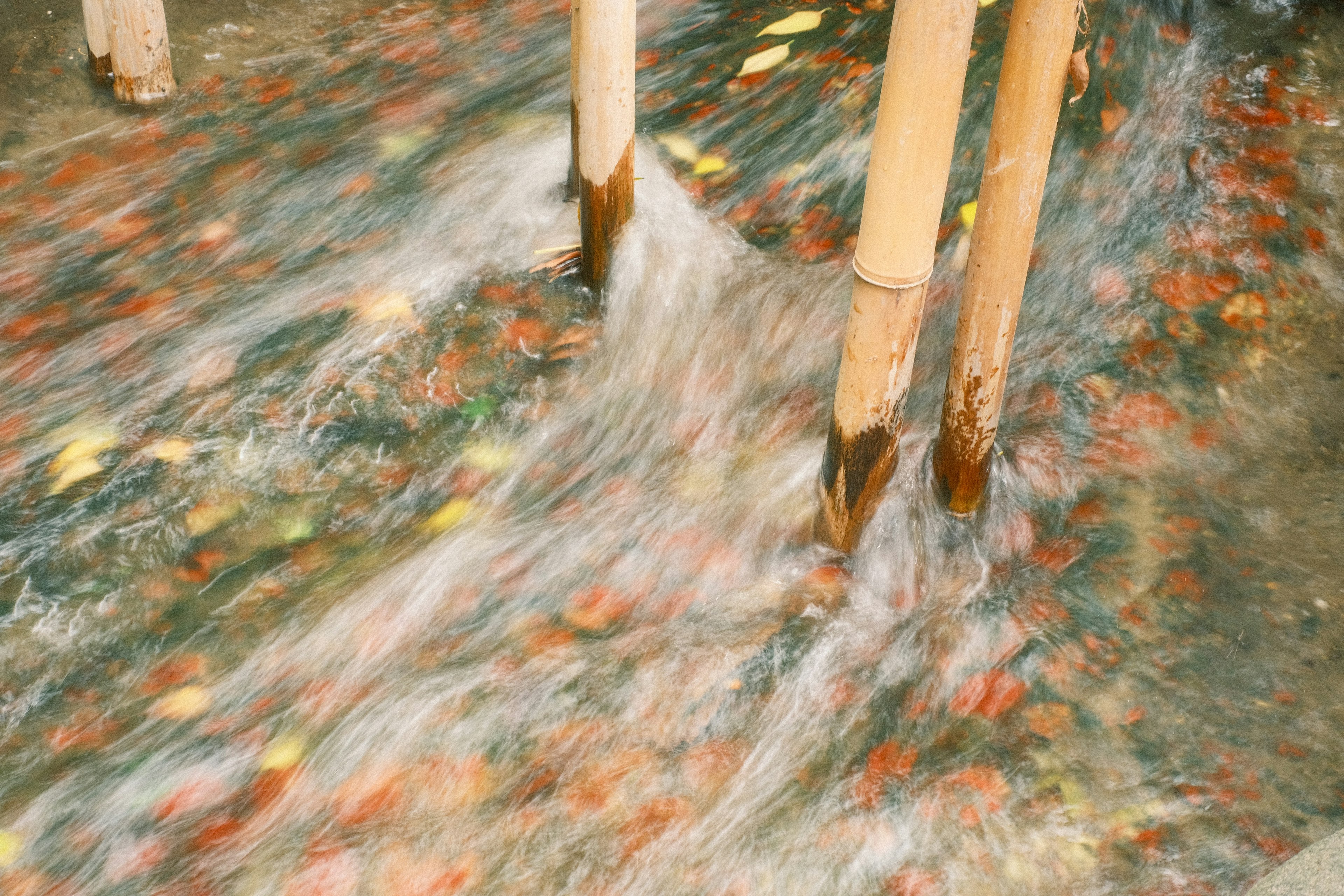 Un ruisseau avec des poteaux en bambou et des feuilles tombées créant une surface colorée