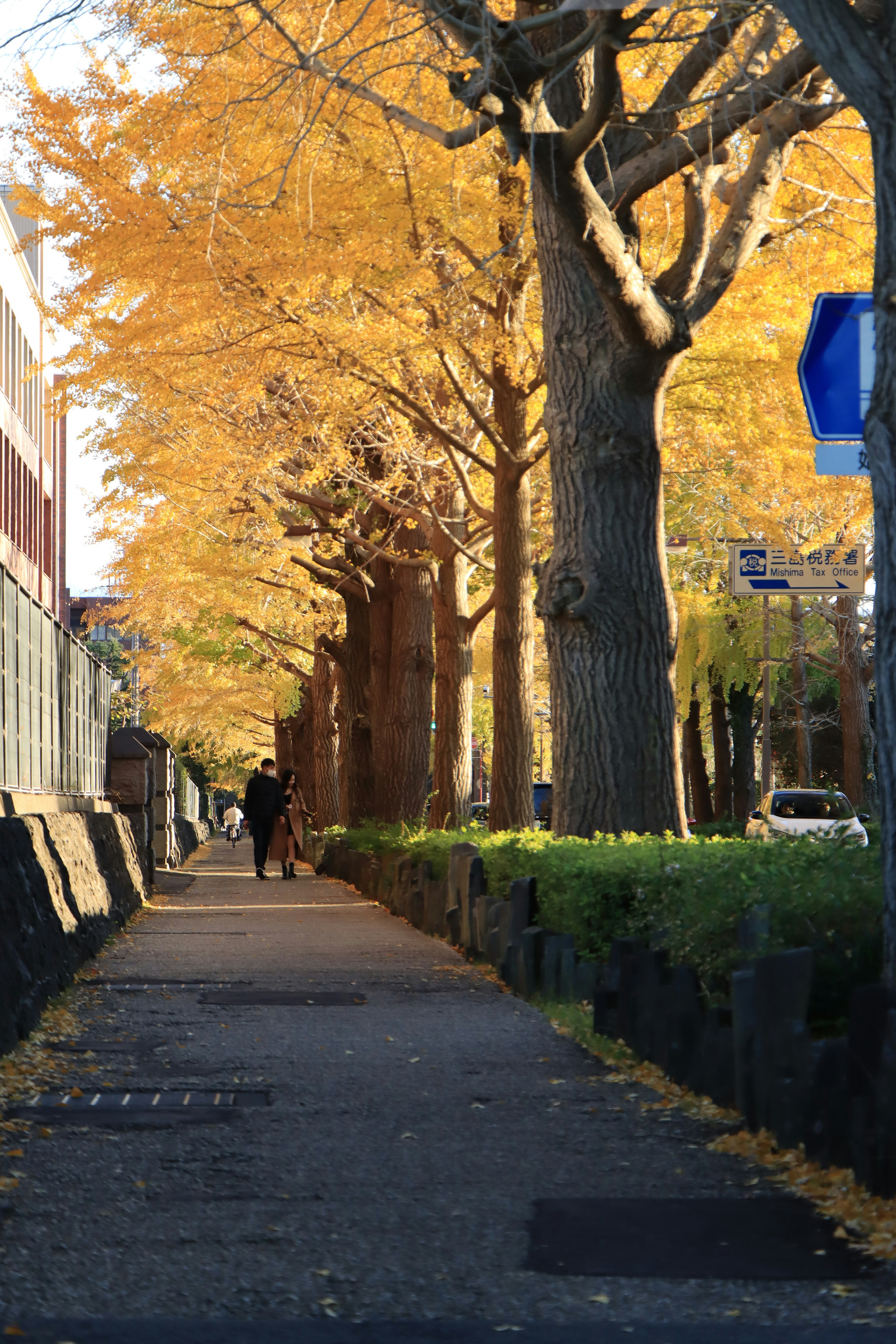 Eine von Bäumen gesäumte Straße mit wunderschönem Herbstlaub und einem Fußgänger