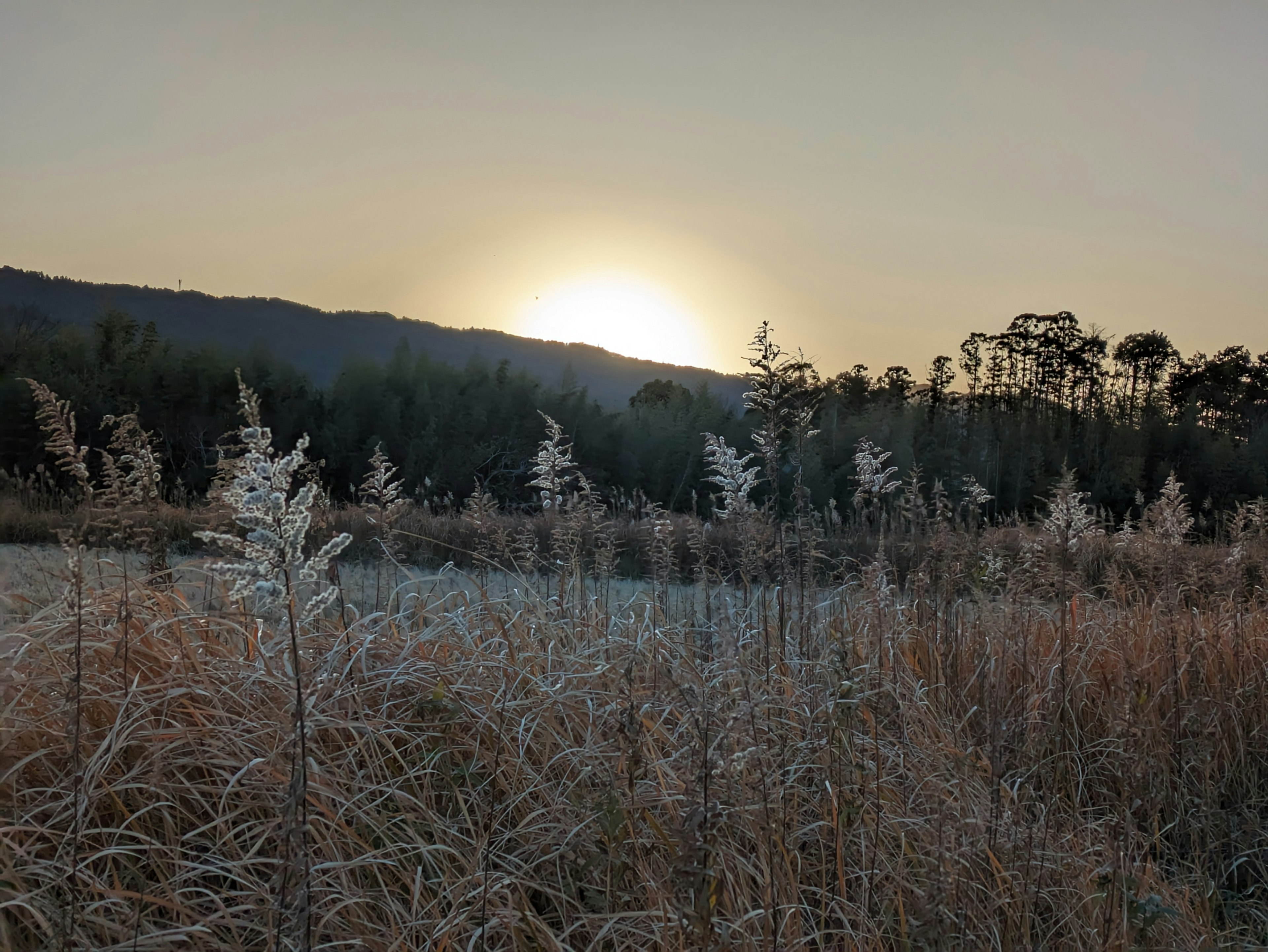 Paysage serein au coucher du soleil avec de l'herbe blanche et des montagnes