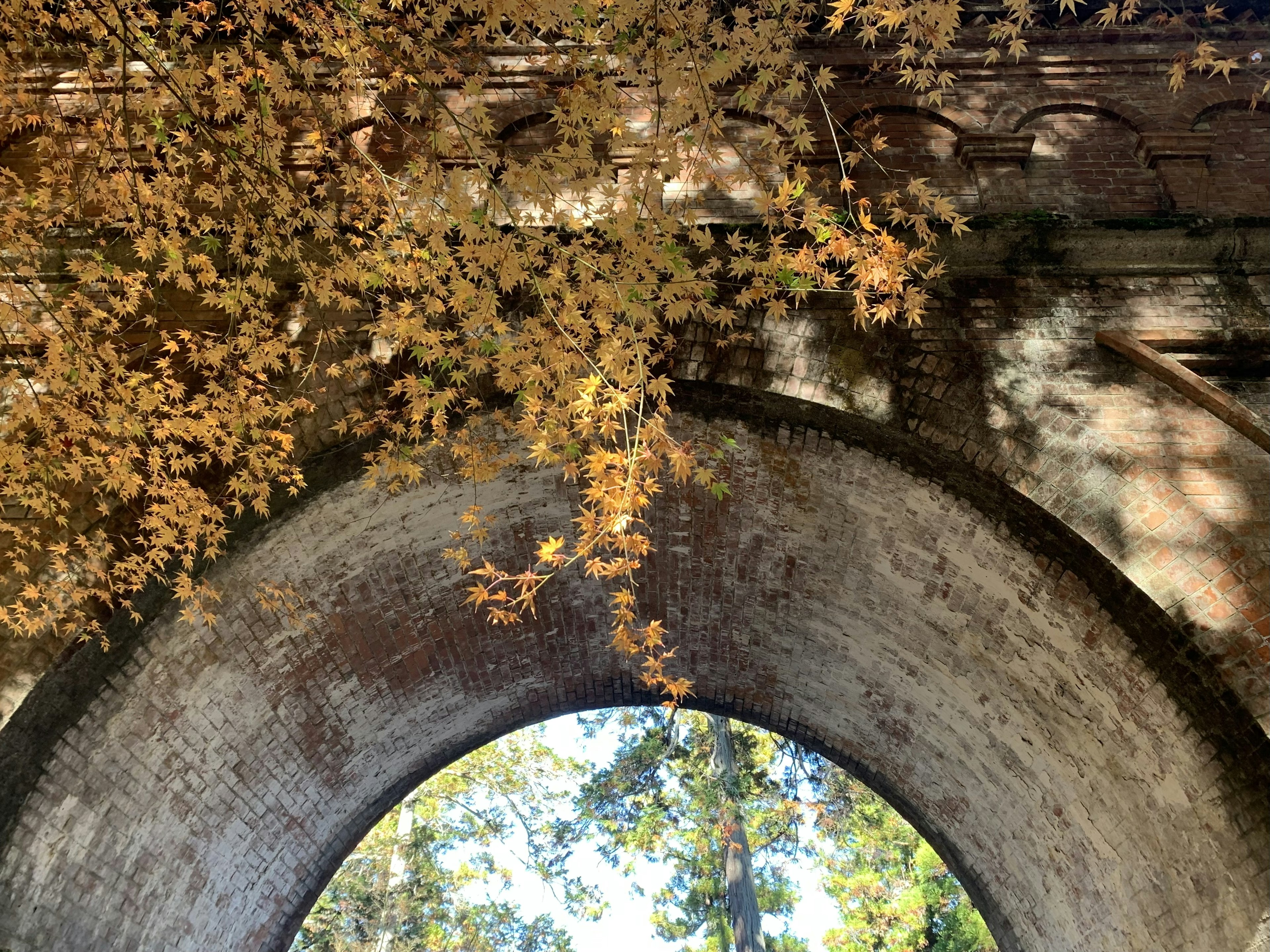 Una vista a través de un viejo arco que muestra un paisaje verde y hojas amarillas