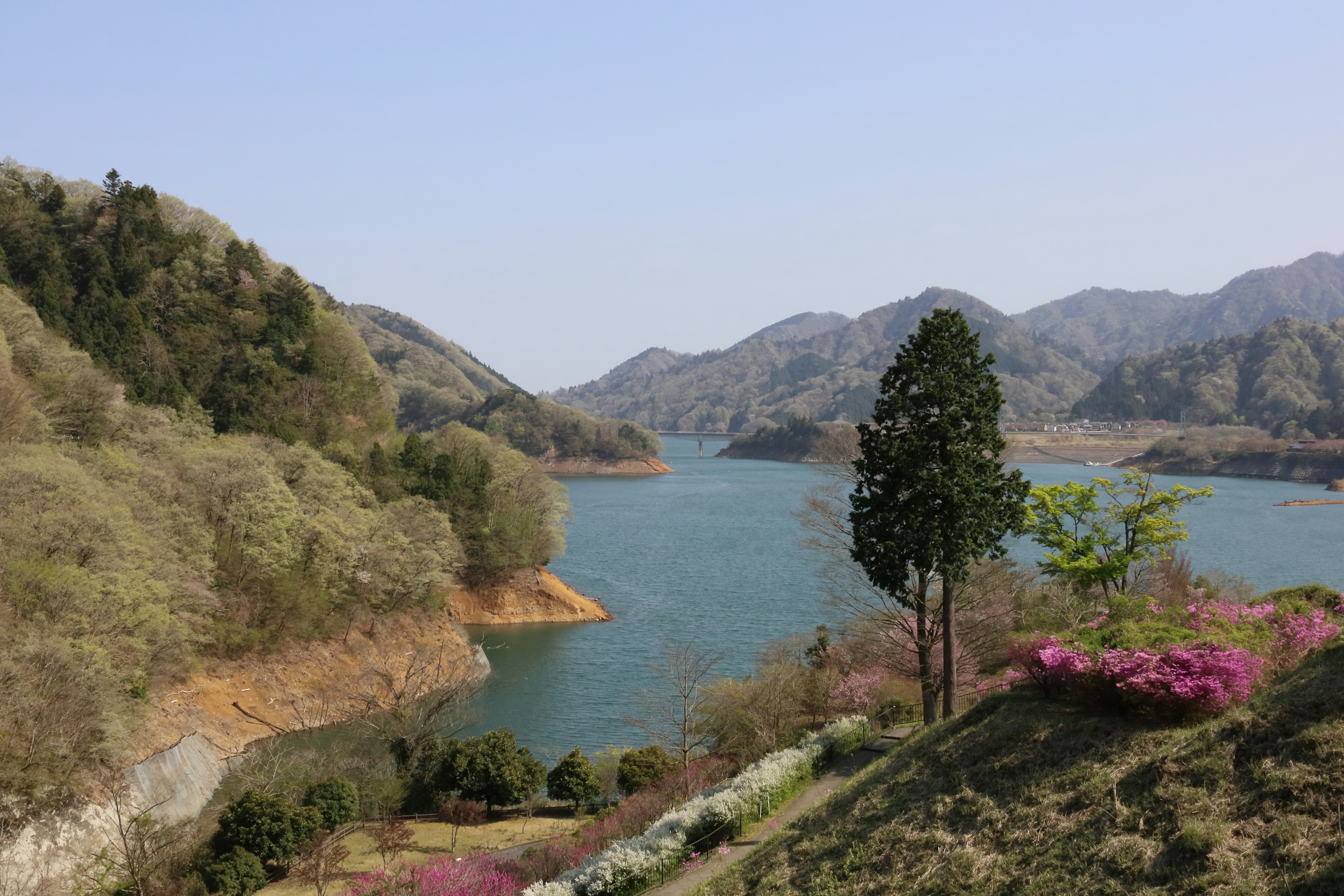 Pemandangan indah danau dikelilingi pegunungan dengan pepohonan hijau dan bunga-bunga