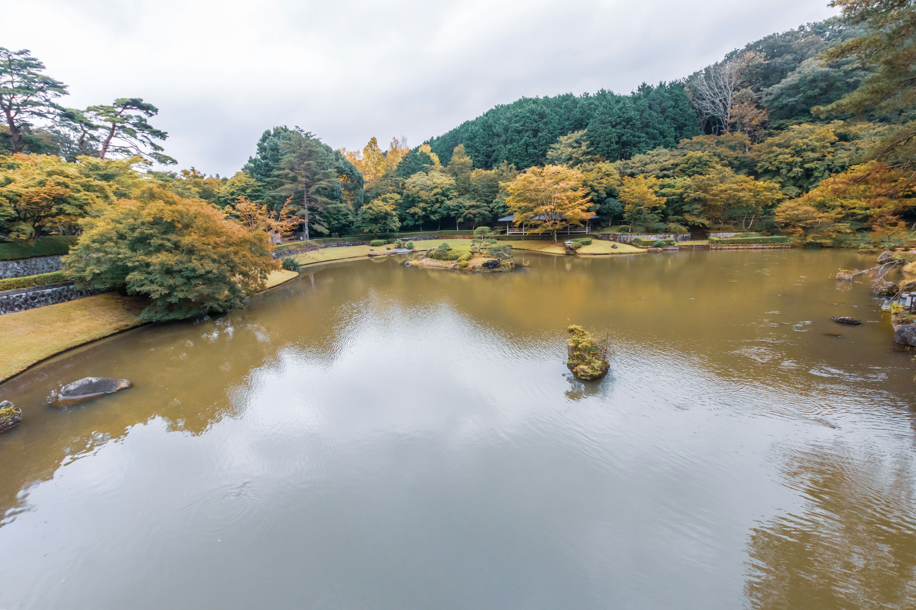 静かな池と秋の色合いの木々が映る風景