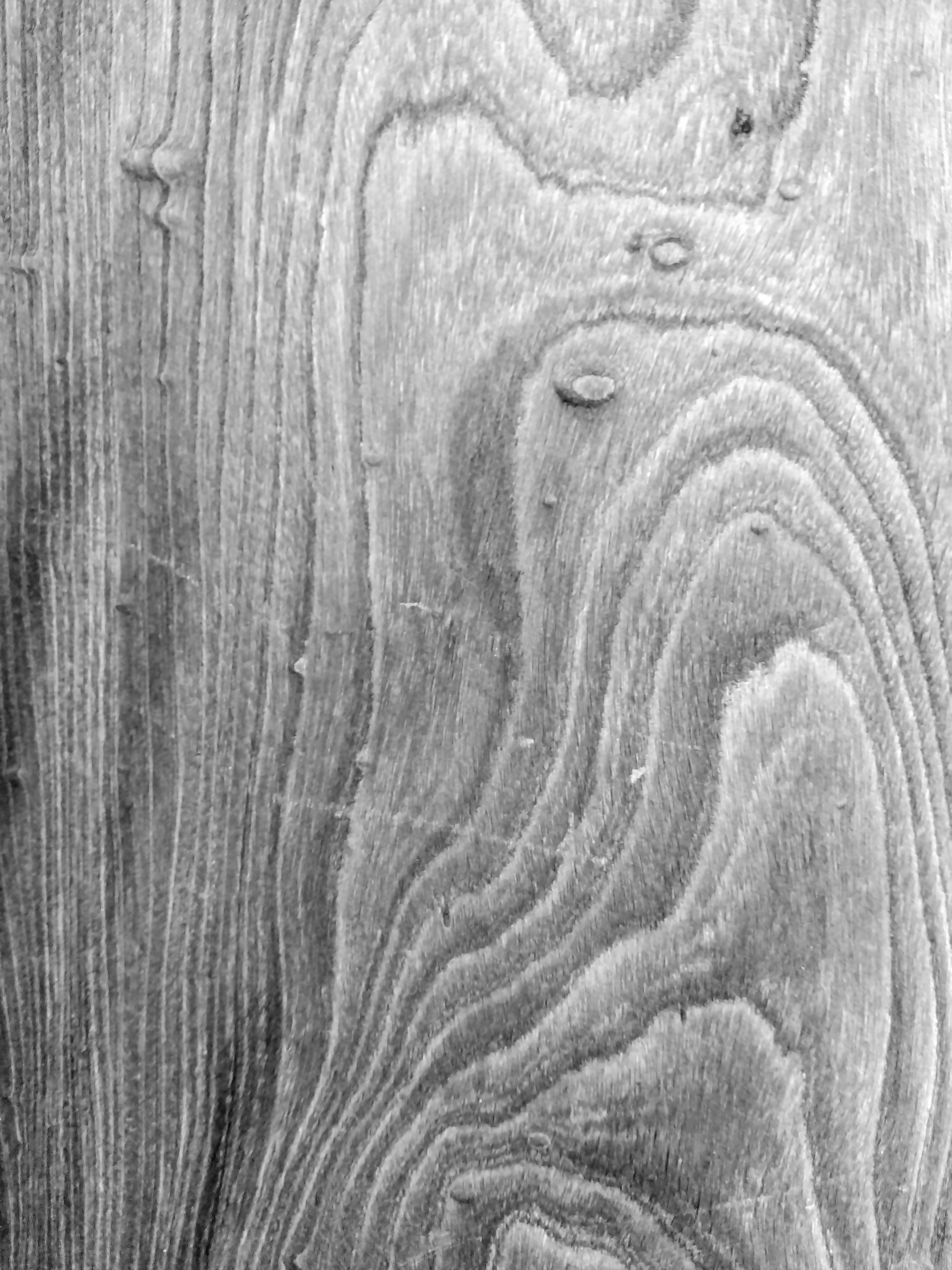 Texture di legno monocromatica che evidenzia venature e motivi