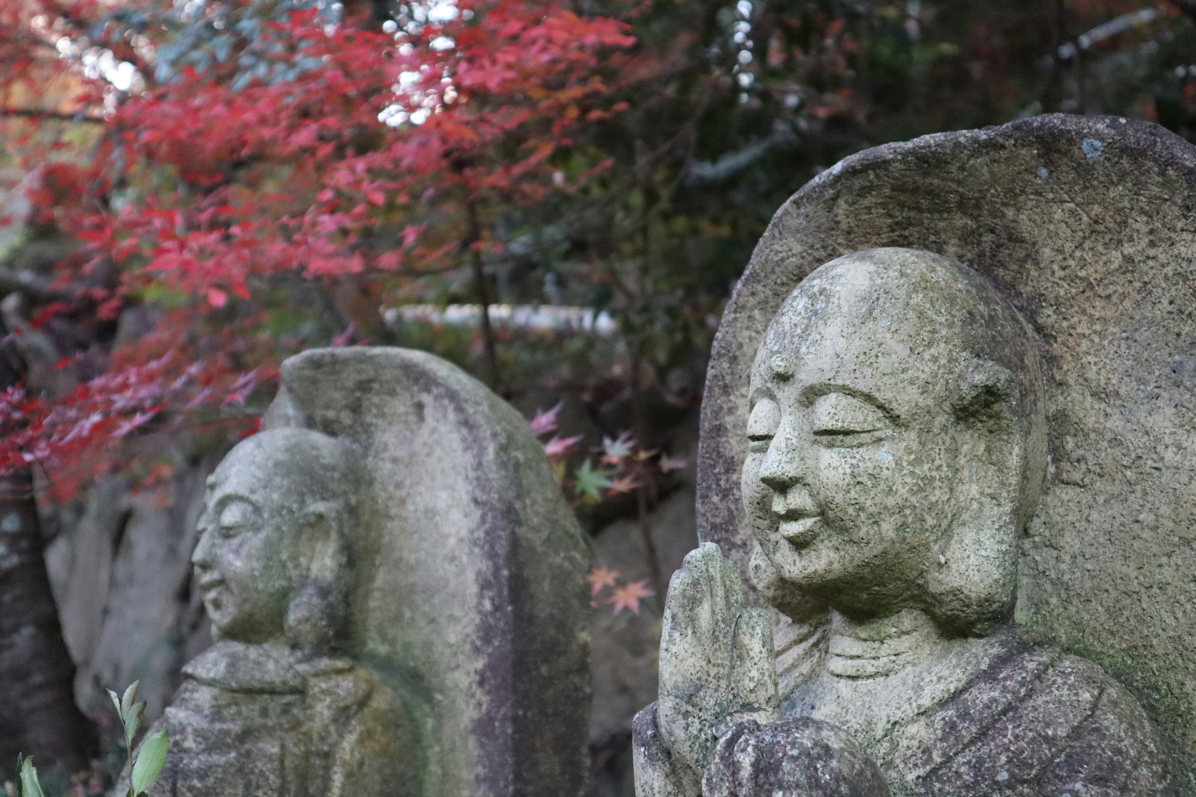 Statue di Buddha in pietra circondate da foglie autunnali rosse vibranti