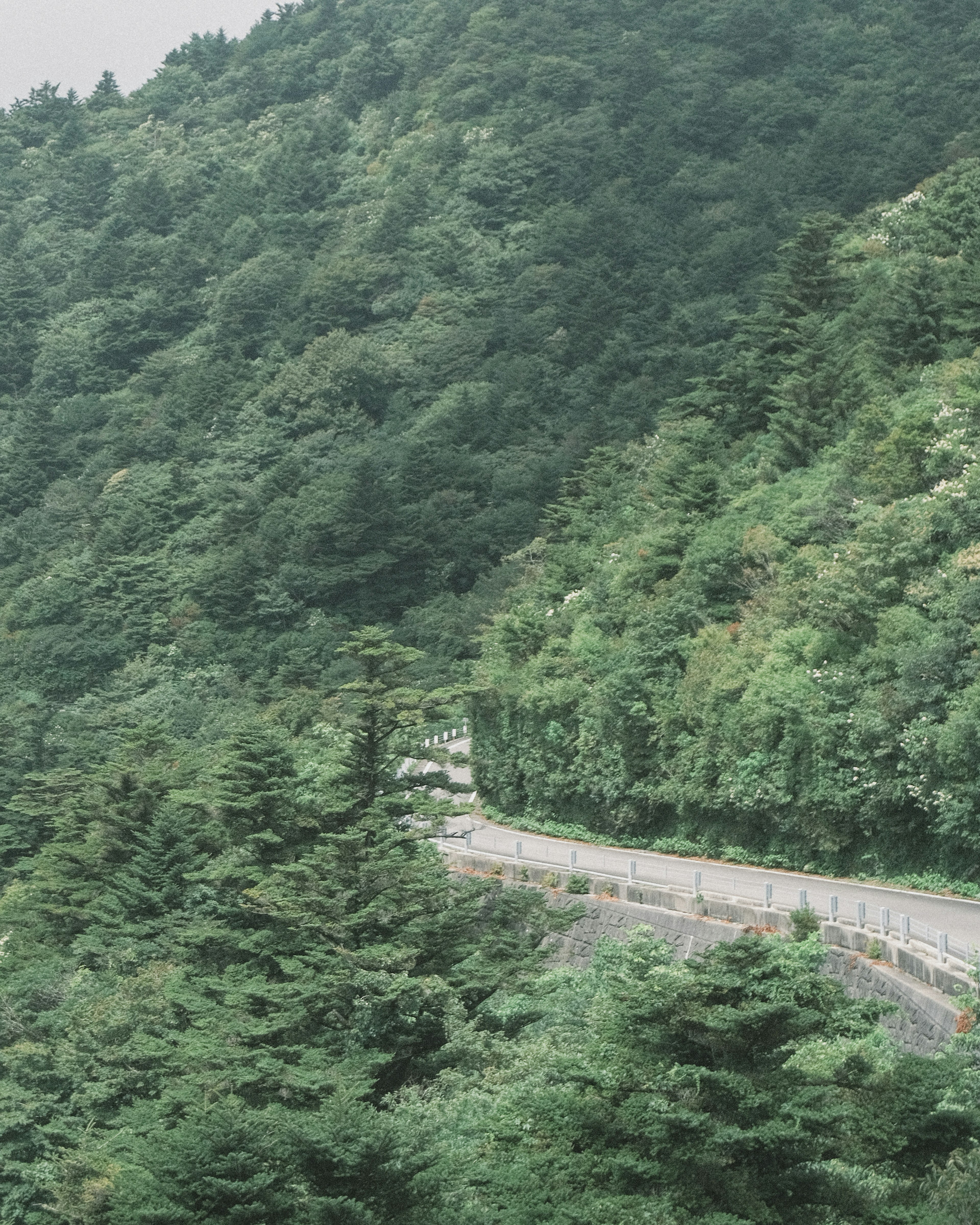 Winding road through lush green mountains