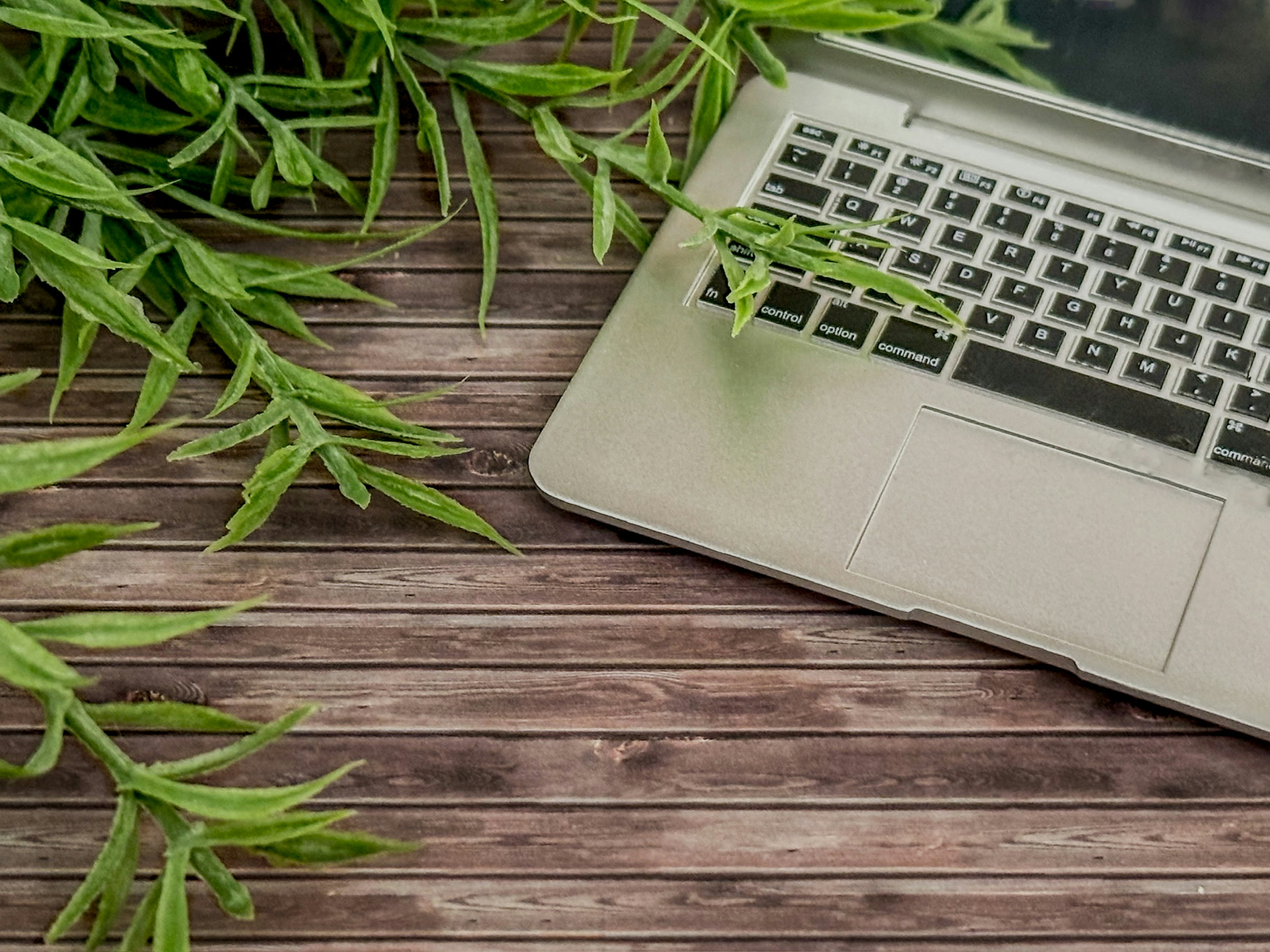 Laptop auf einem Holztisch umgeben von grünem Laub