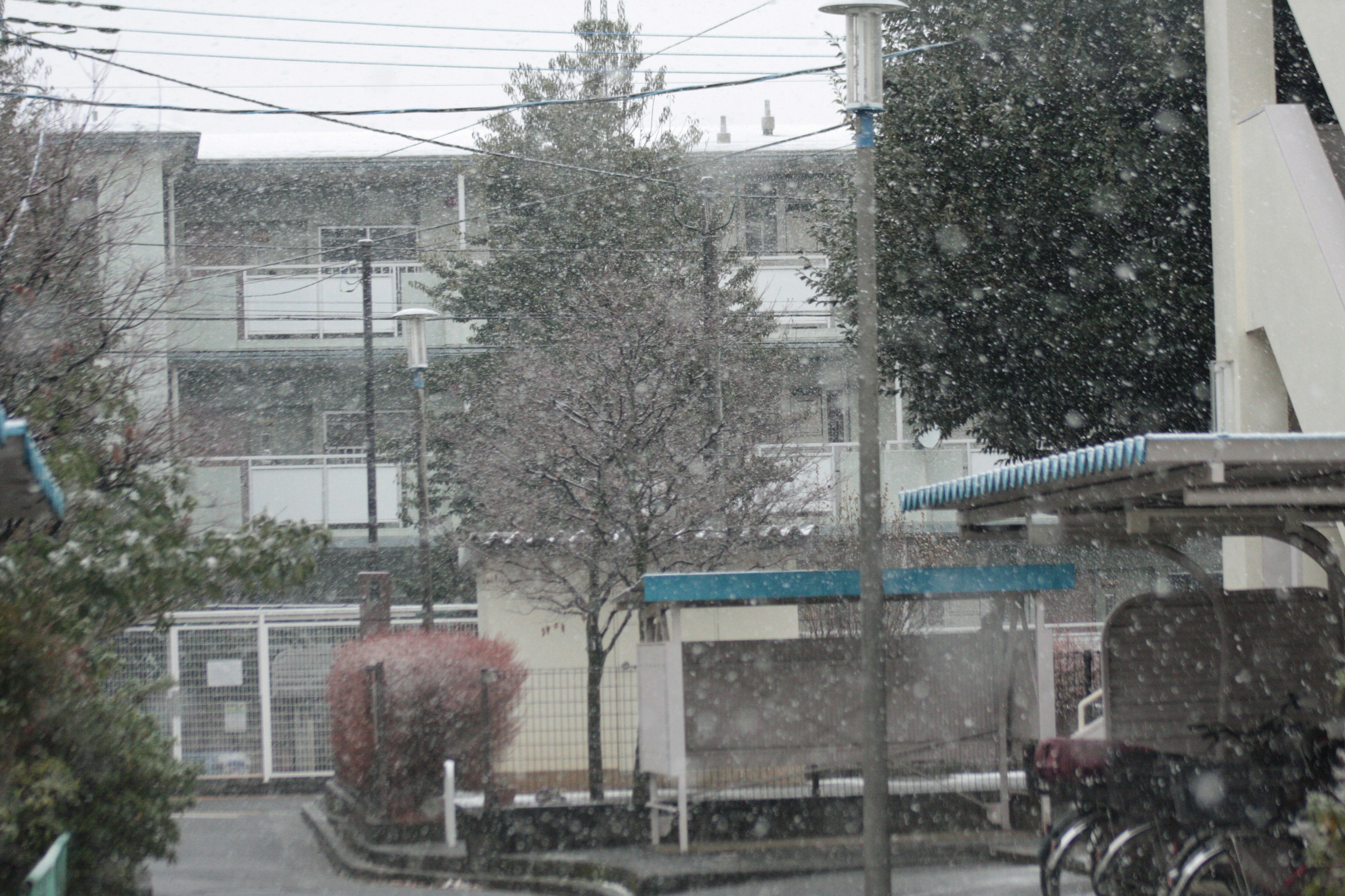 View of an apartment building and trees in snowfall